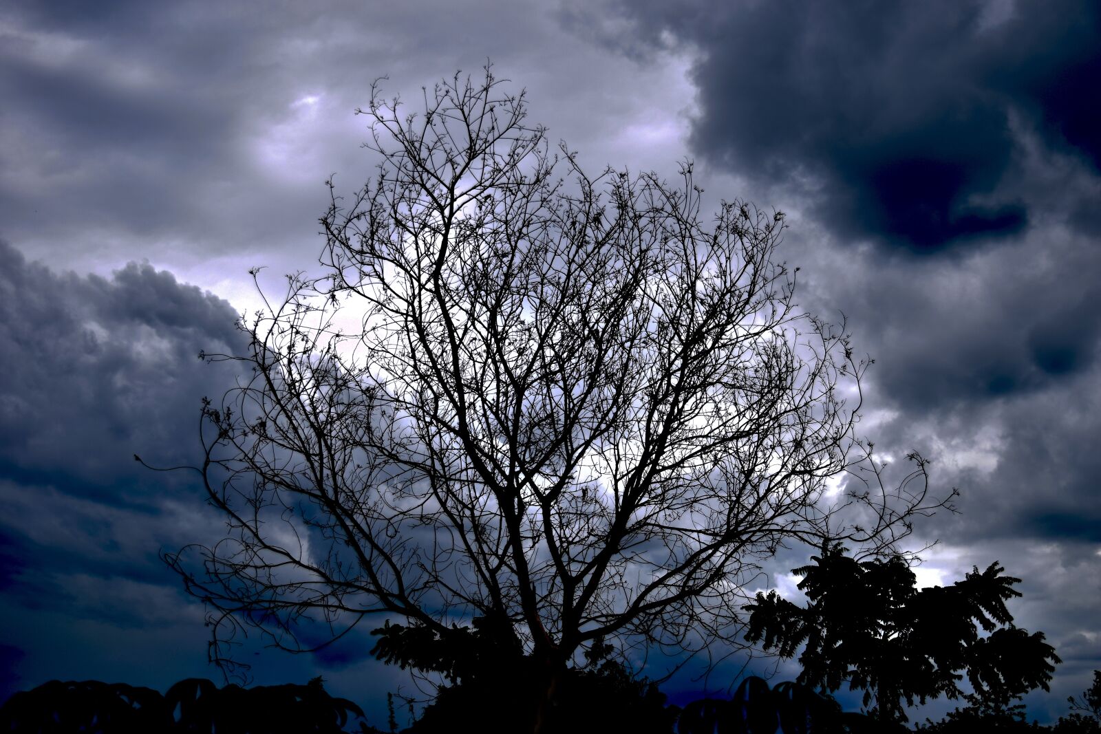 Nikon D5300 sample photo. Albor dry, albor, clouds photography