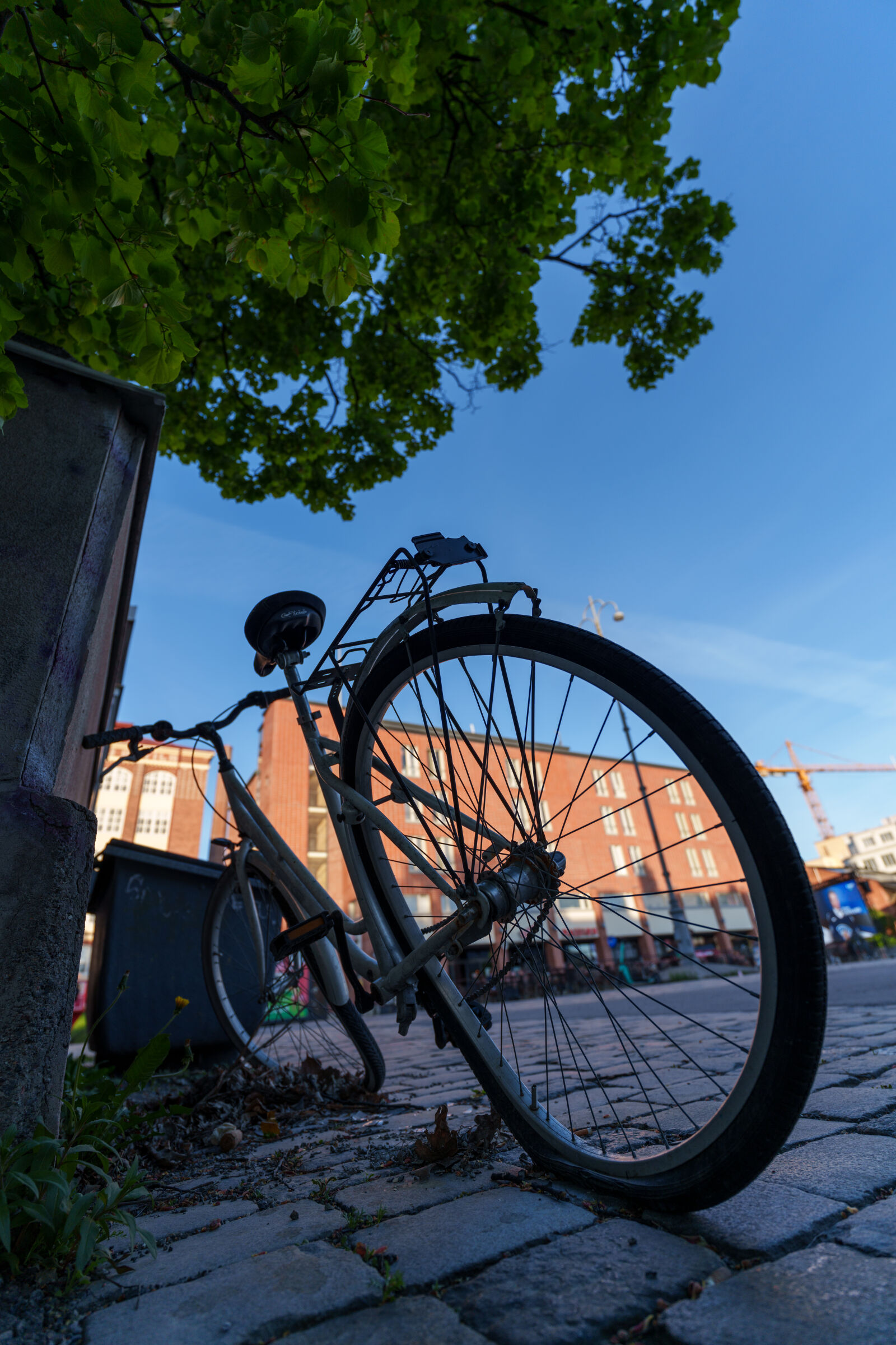Sony a7R V sample photo. Wide bicycle photography