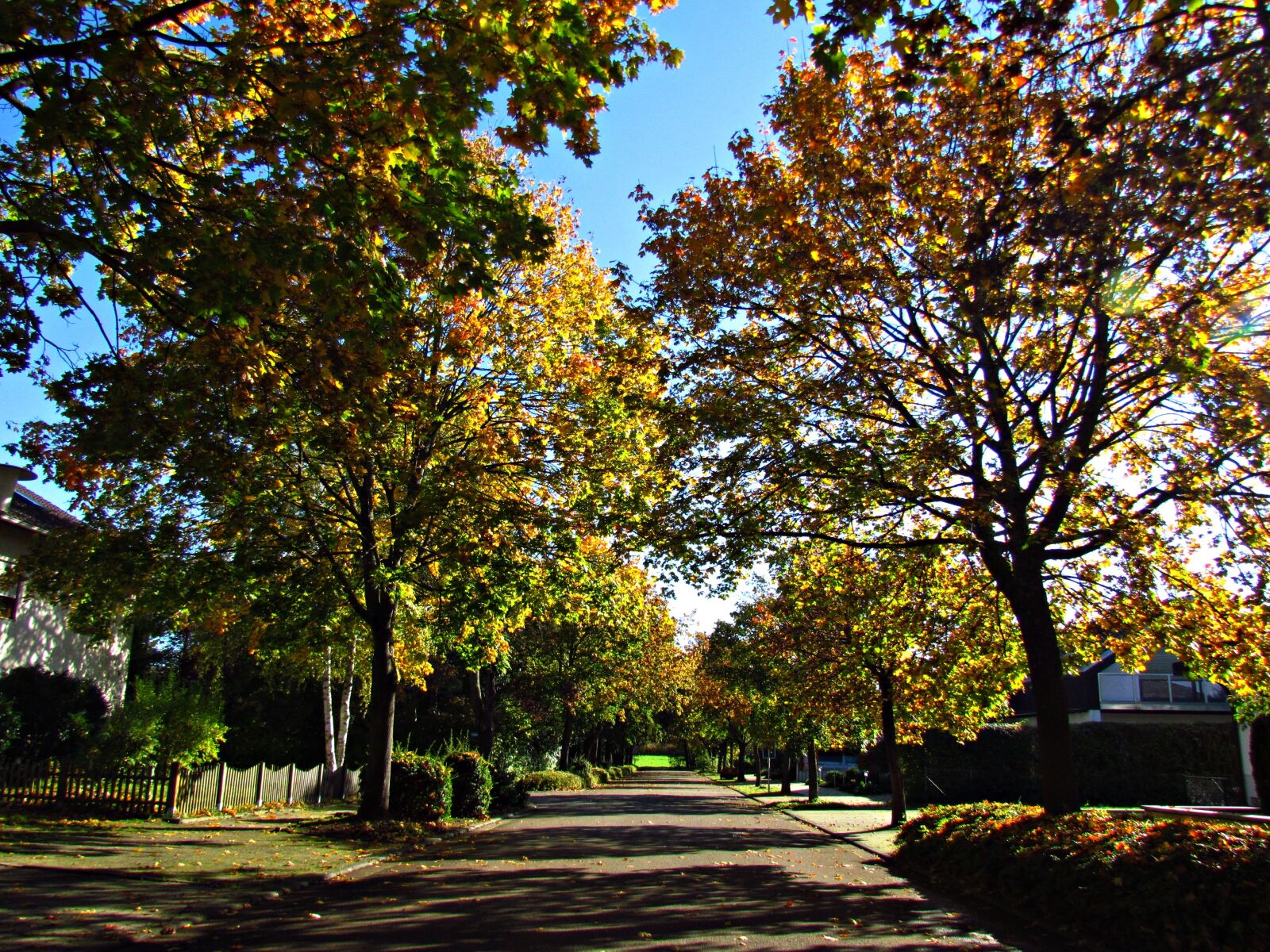 Canon PowerShot SX30 IS sample photo. Landscape, autumn, way photography