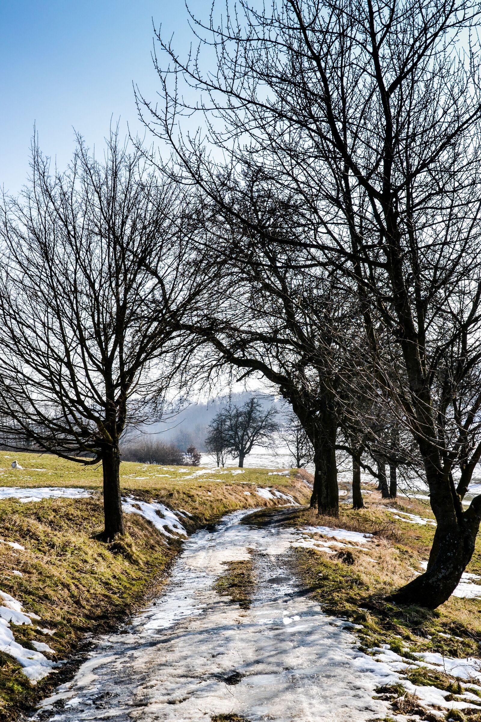 Nikon D3100 sample photo. Landscape, snow, path photography