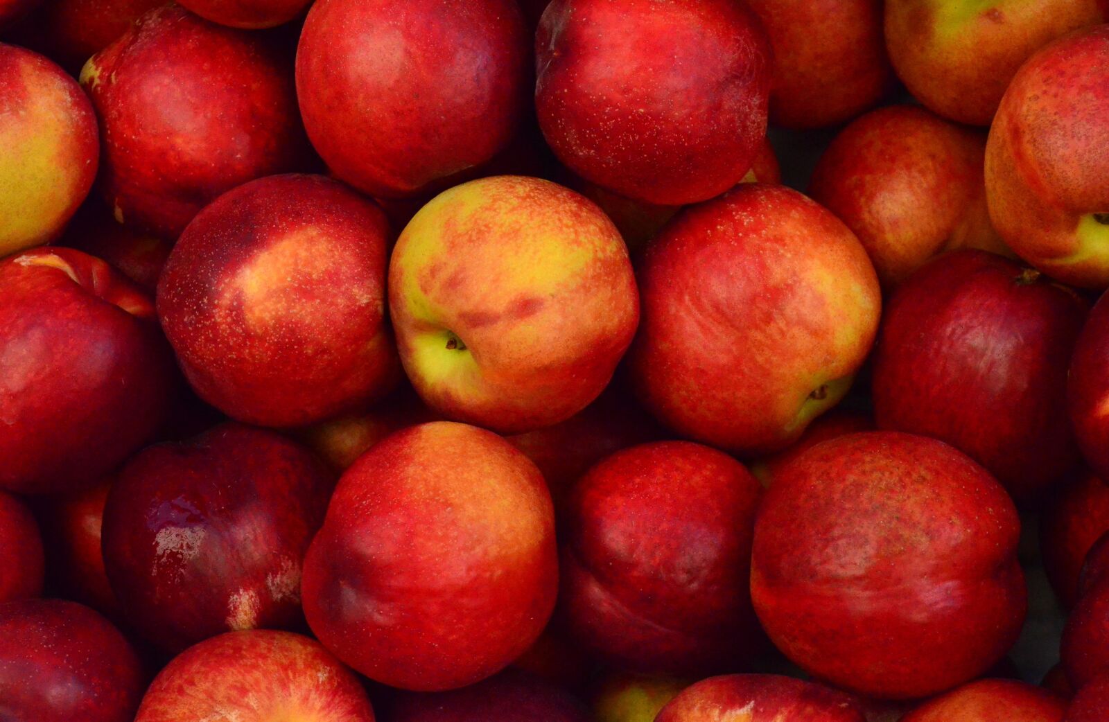 Nikon D5100 sample photo. Apples, close-up, food photography