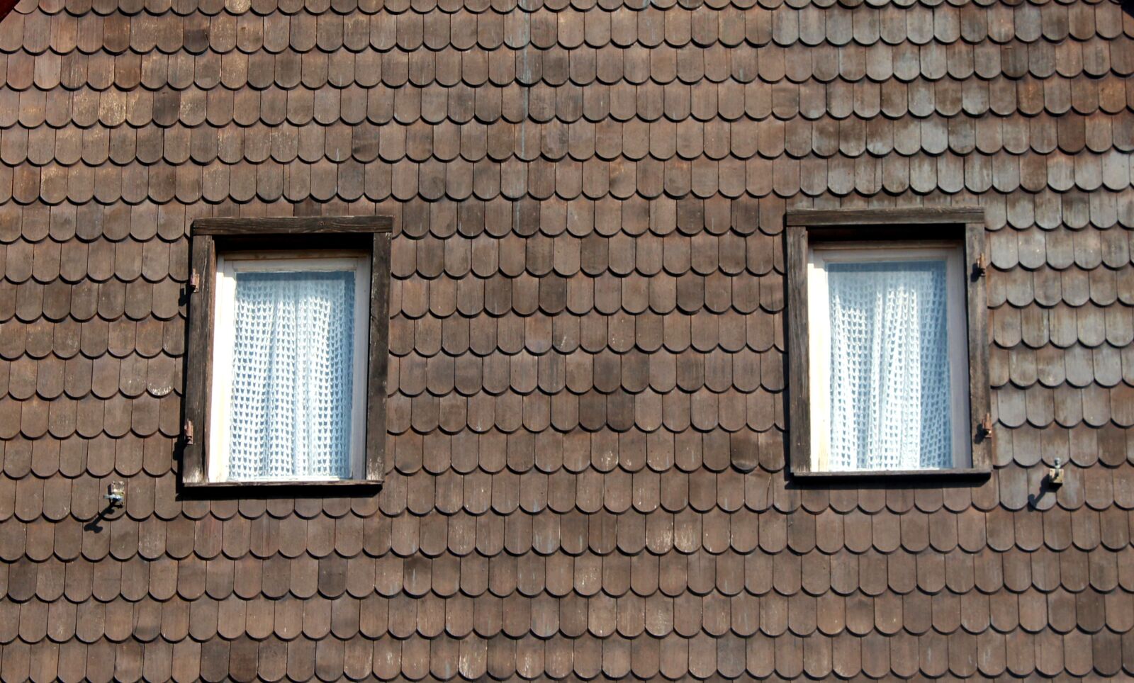 Canon EOS 1200D (EOS Rebel T5 / EOS Kiss X70 / EOS Hi) sample photo. The window, building, architecture photography