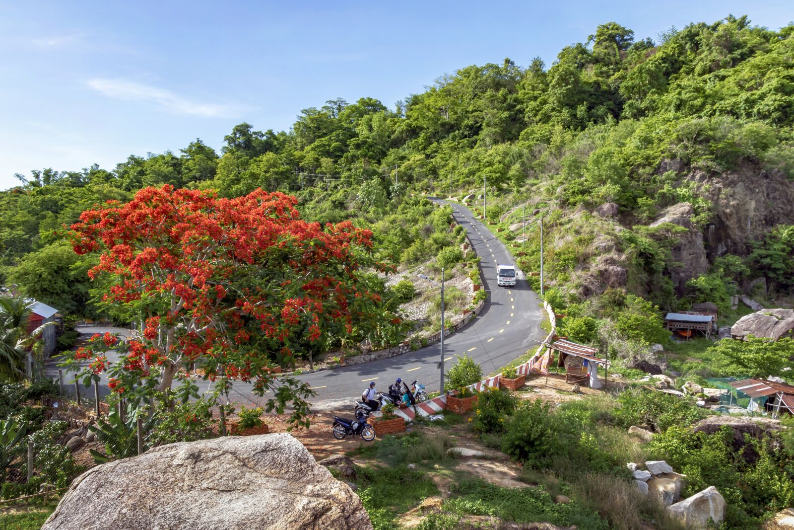 Canon EOS 7D Mark II sample photo. Vietnam, rock, flower photography