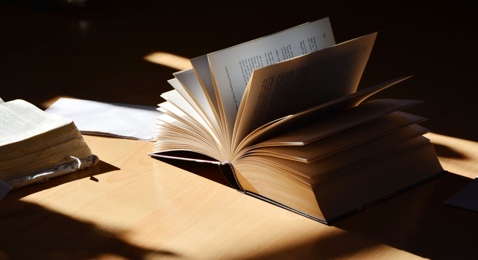 Nikon D5200 sample photo. Book, read, literature photography