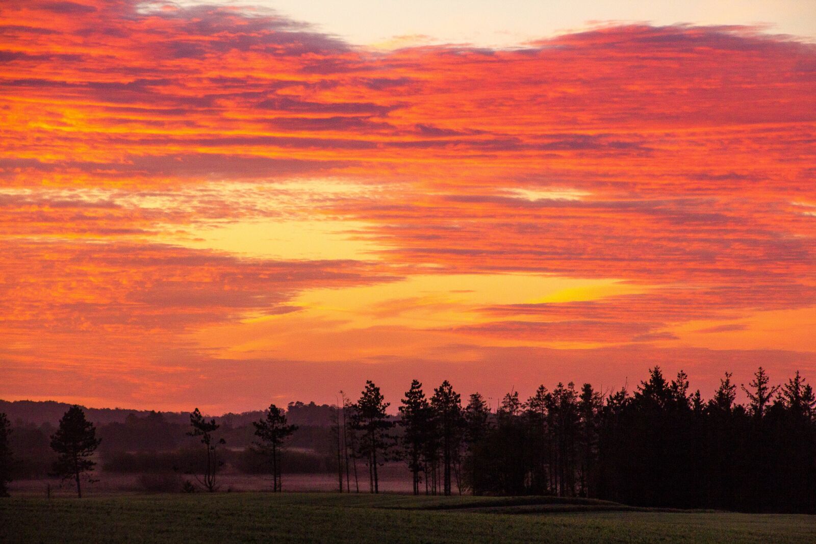Canon EOS 550D (EOS Rebel T2i / EOS Kiss X4) sample photo. Morning sun, åmosen, sunrise photography