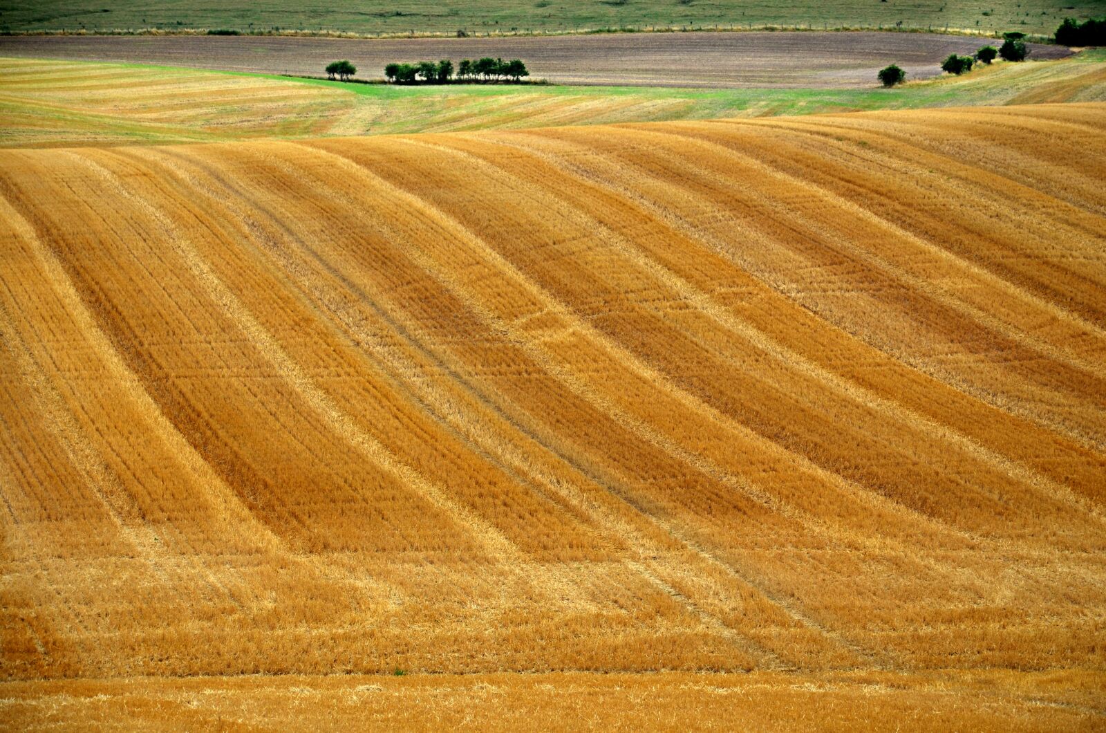 Nikon D5100 sample photo. Harvest, wheat, harvesting photography