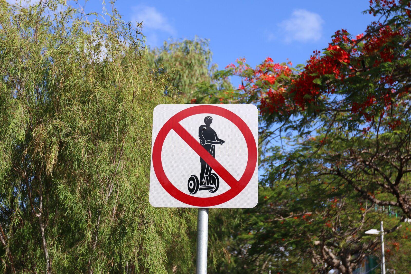 Canon EOS 70D sample photo. Segway, sign, travel photography
