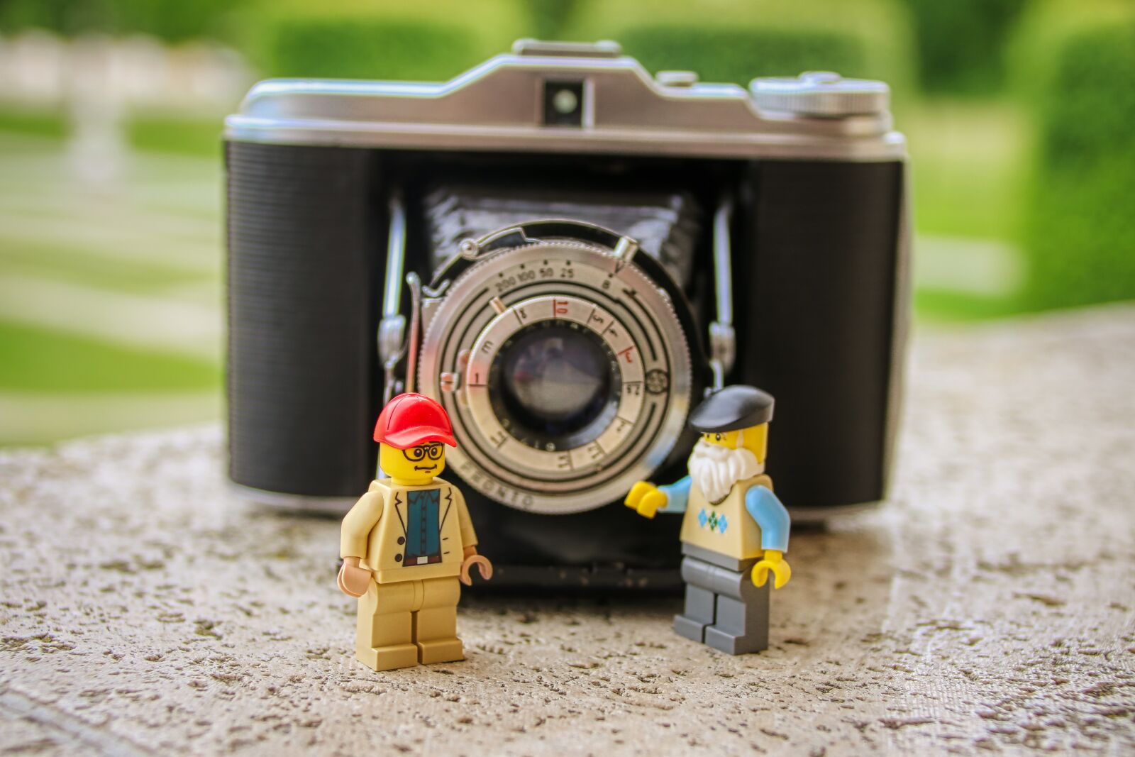 Canon EOS 80D sample photo. Camera, photo, photography photography