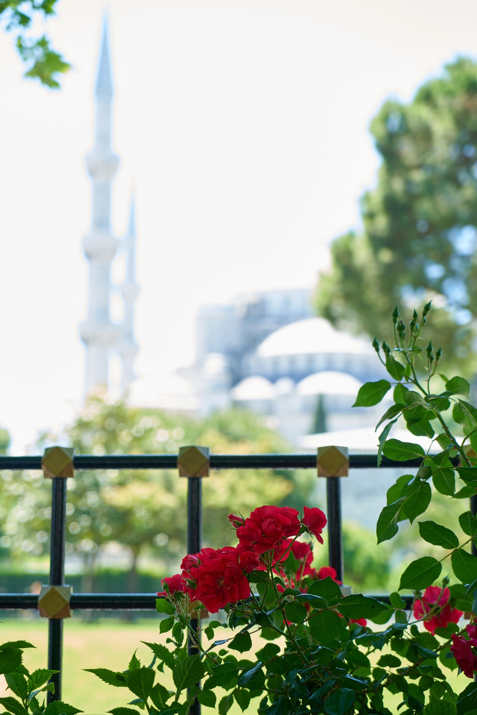 Sony a7R II + Sony Vario Tessar T* FE 24-70mm F4 ZA OSS sample photo. Cami, landscape, beautiful photography