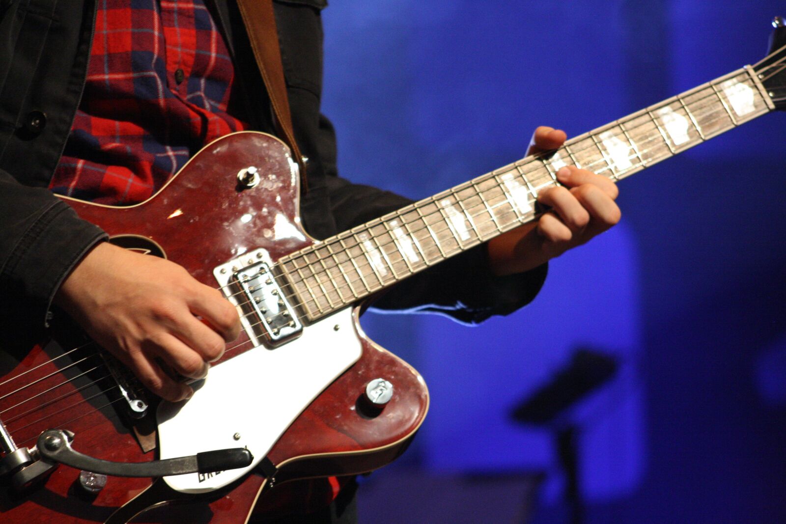 Canon EOS 1000D (EOS Digital Rebel XS / EOS Kiss F) sample photo. Guitar, electric guitar, instrument photography