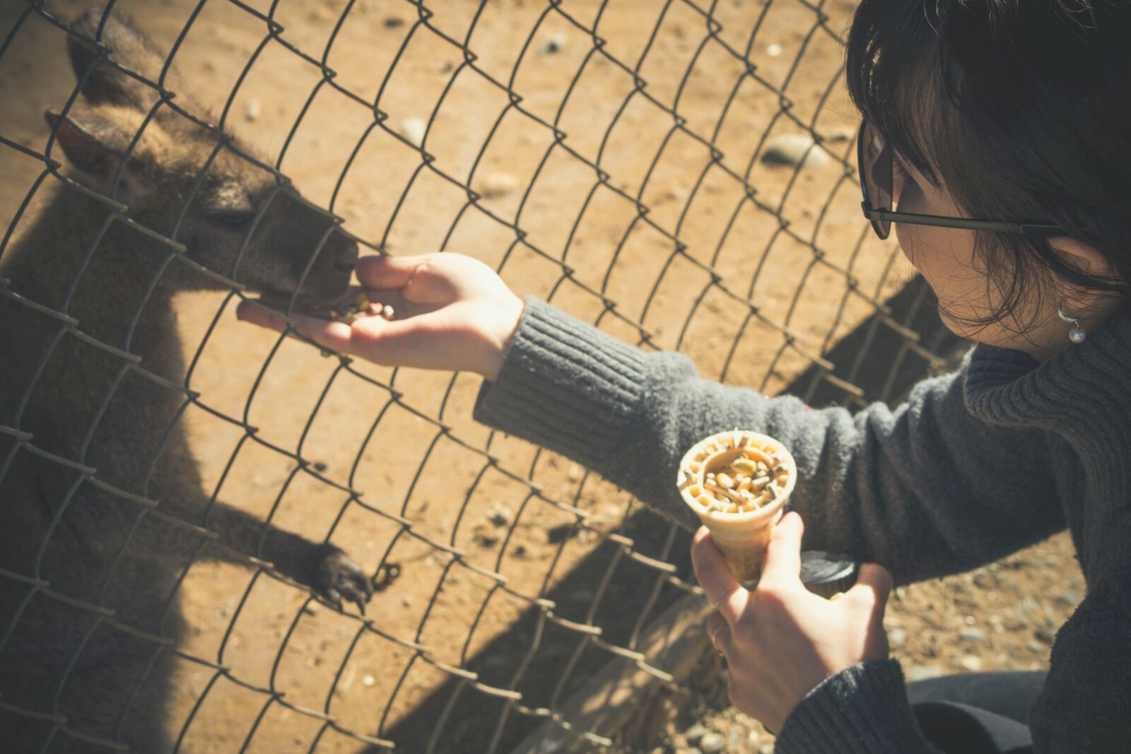 Nikon D5200 sample photo. Cage, kangaroo, daylight, woman photography