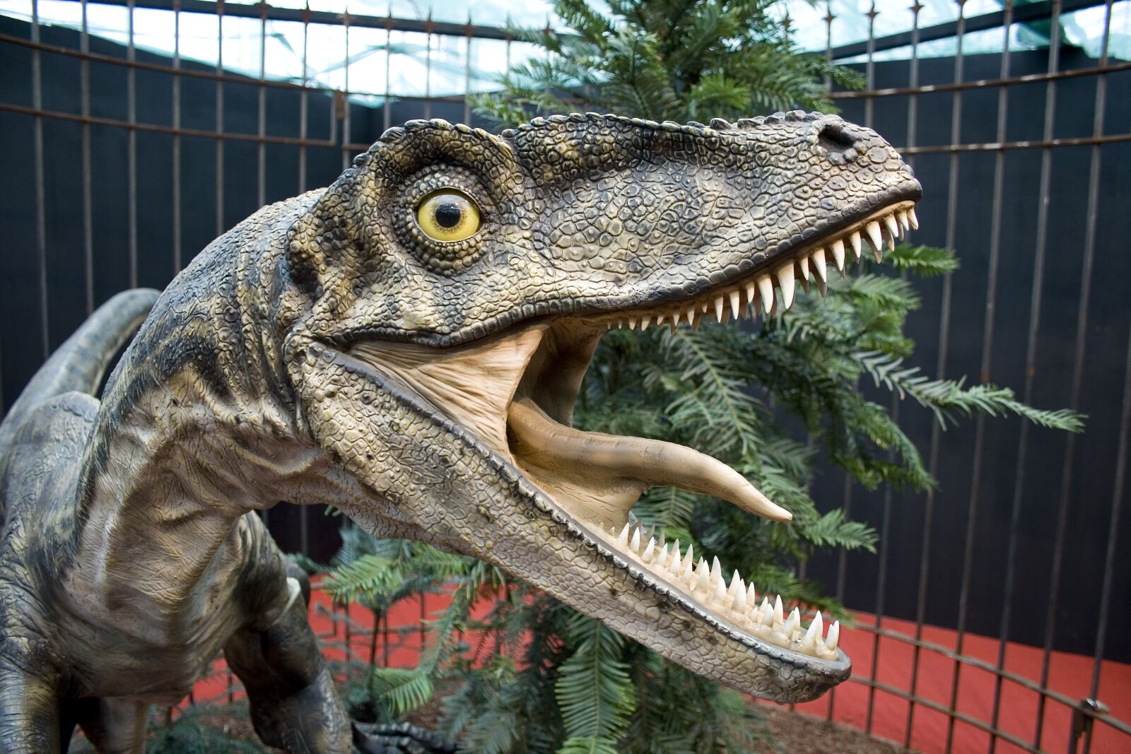 Canon EOS 400D (EOS Digital Rebel XTi / EOS Kiss Digital X) sample photo. Dinos, velociraptor, raptors photography