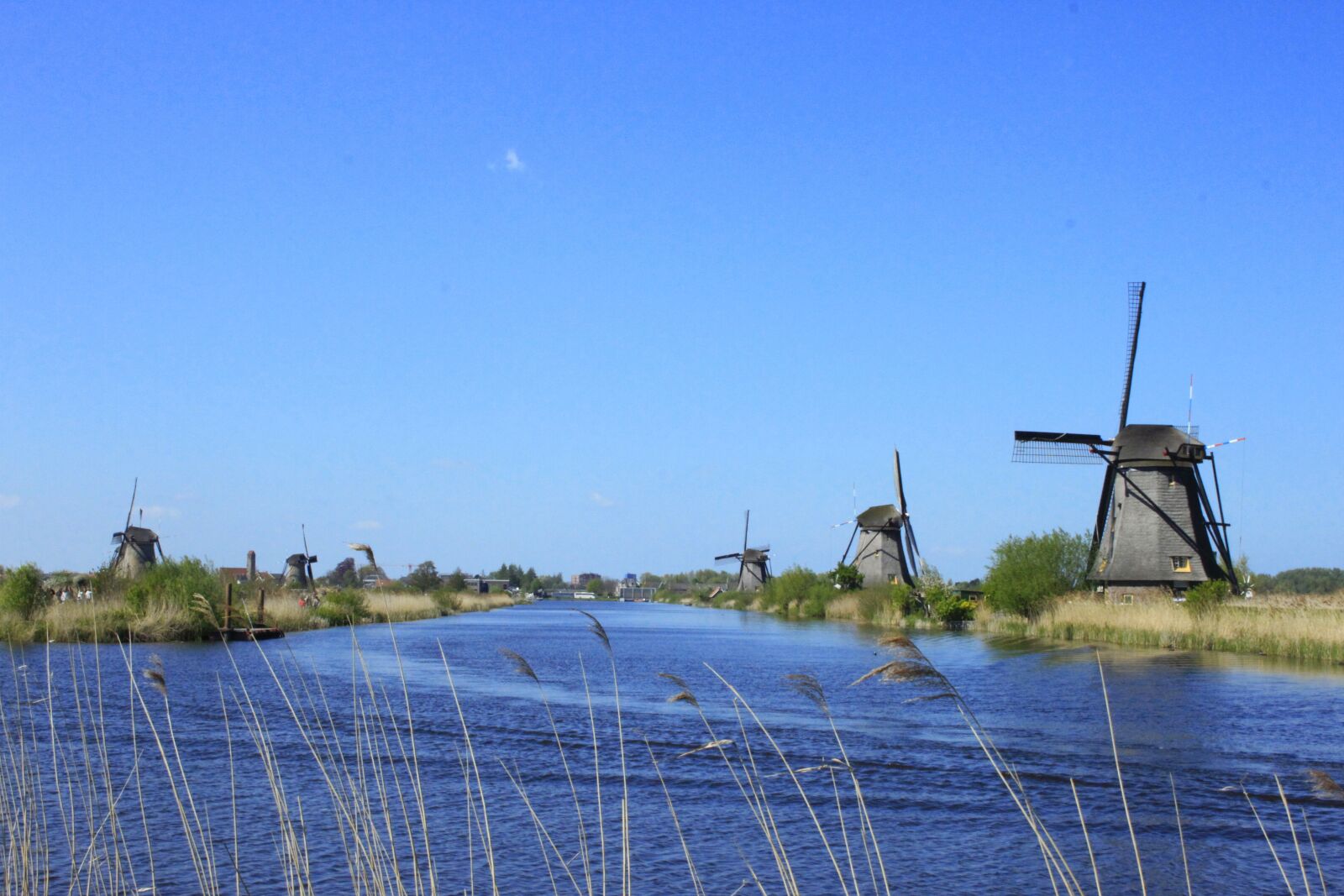 Canon EOS 500D (EOS Rebel T1i / EOS Kiss X3) sample photo. Holland, kinderdijk, windmills photography