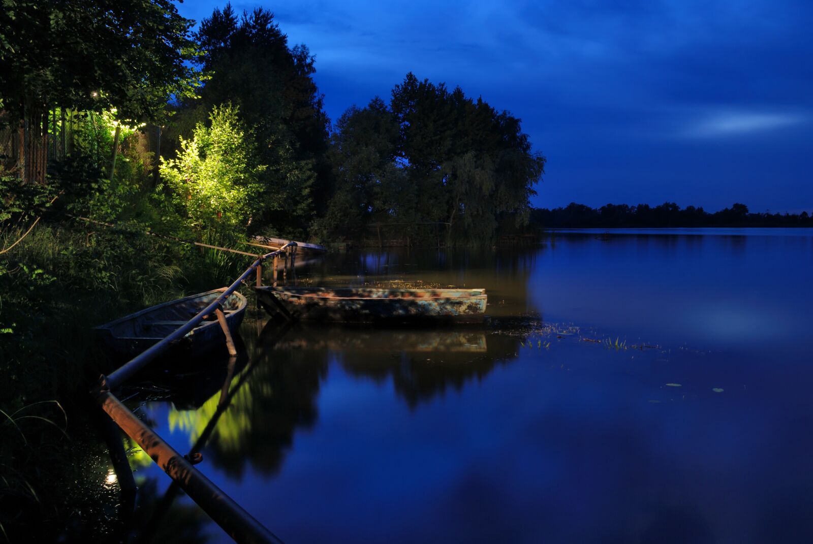 Nikon D80 sample photo. Waters river, tree, night photography