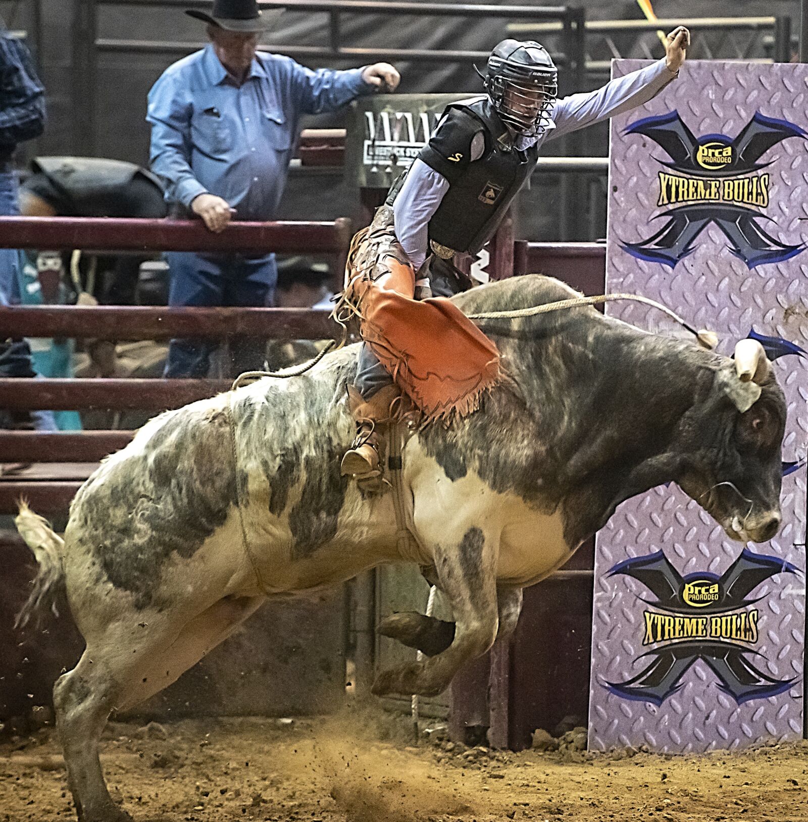 Nikon D850 sample photo. Bull, bull riding, rodeo photography