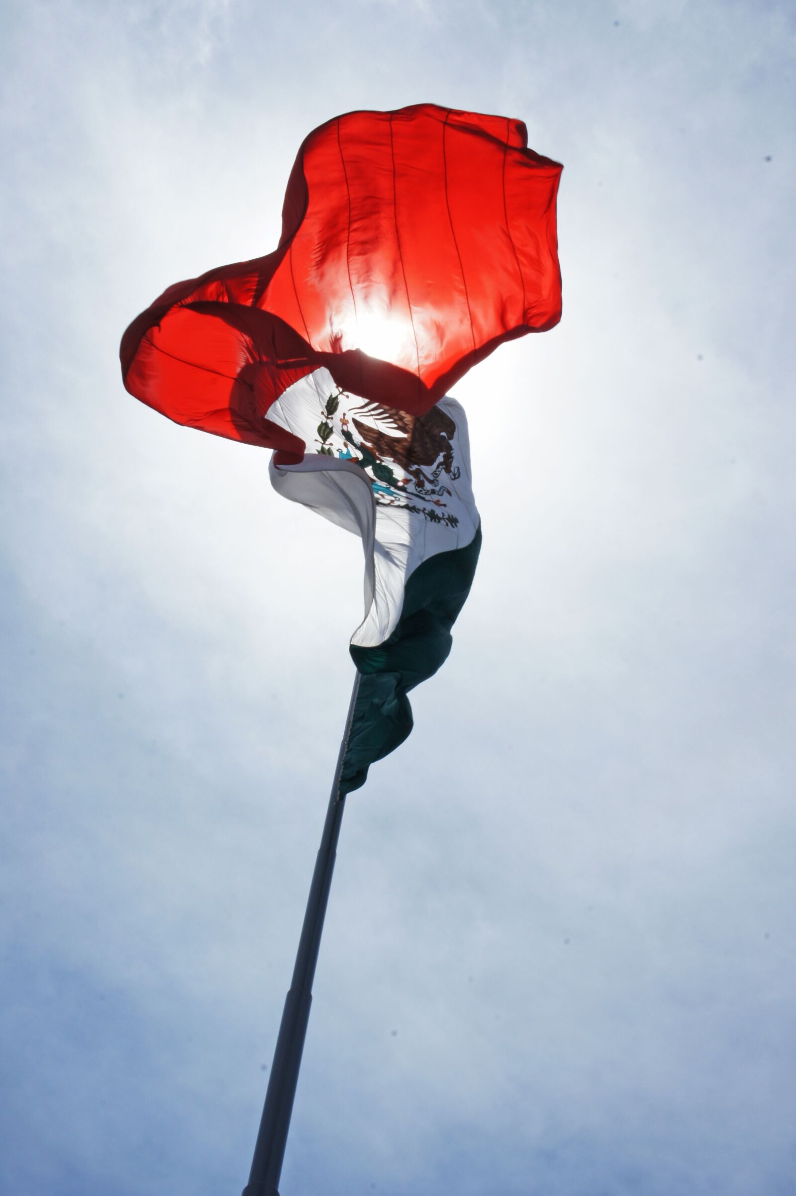 Sony Alpha NEX-5 sample photo. Flag, mexico, nation photography