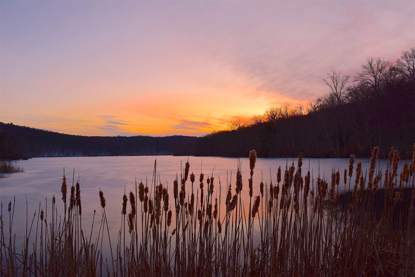 Nikon D3300 sample photo. Sunset, lake, reeds photography