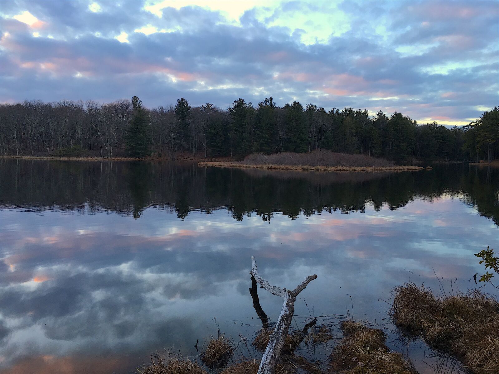 Apple iPhone 6s sample photo. Lake, branch, sunset photography
