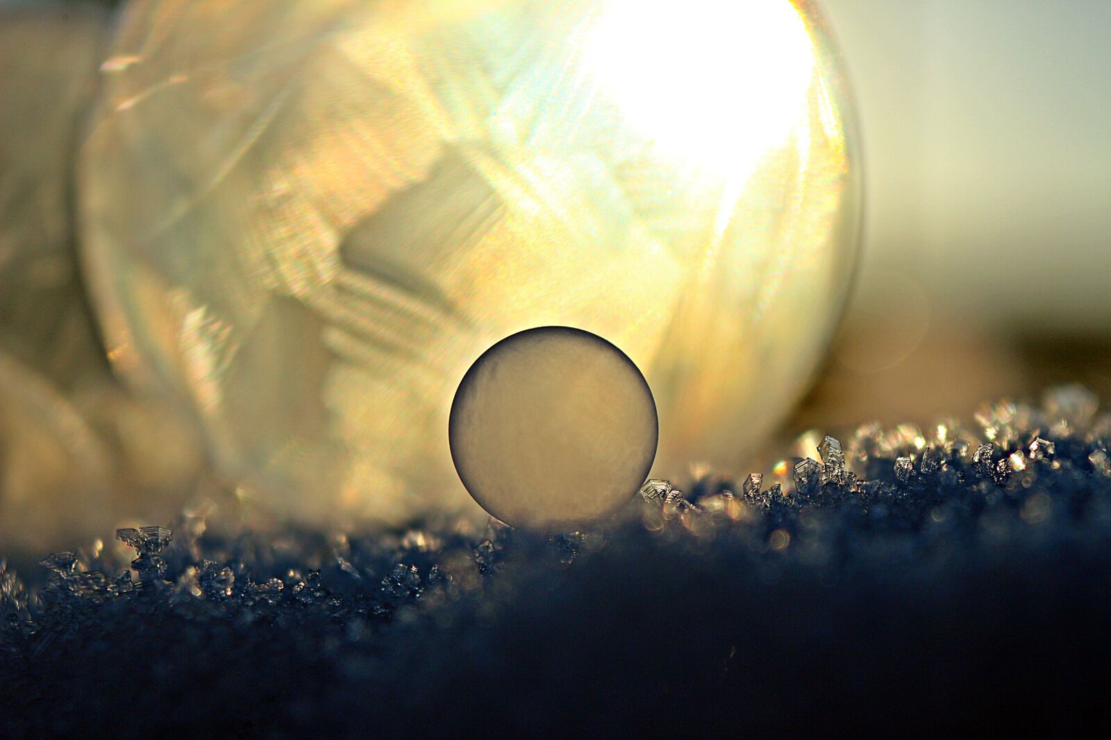 Canon EOS 100D (EOS Rebel SL1 / EOS Kiss X7) sample photo. Ice bubble, soap bubble photography