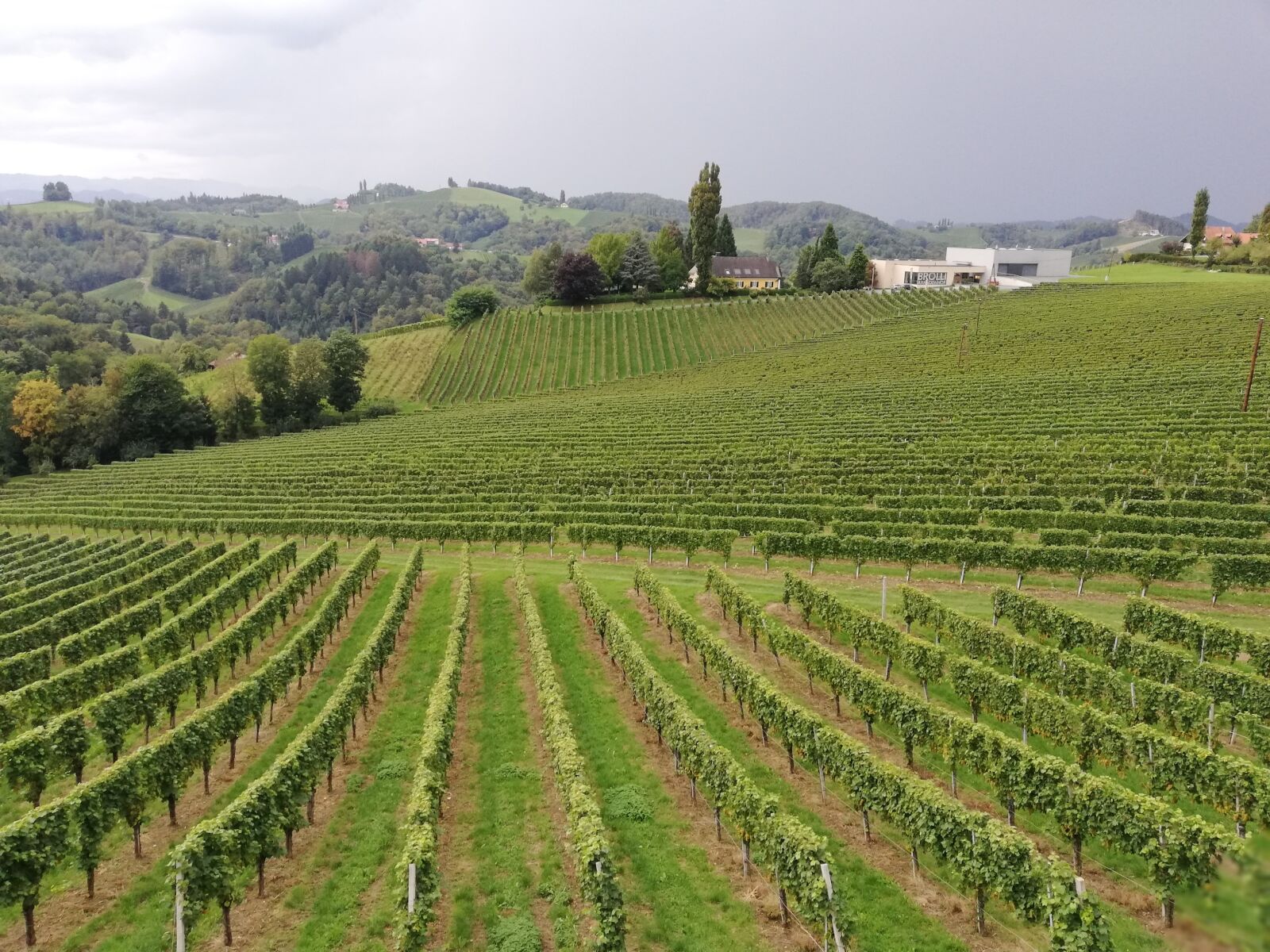 HUAWEI Mate 10 Lite sample photo. Austria, wine, vineyard photography