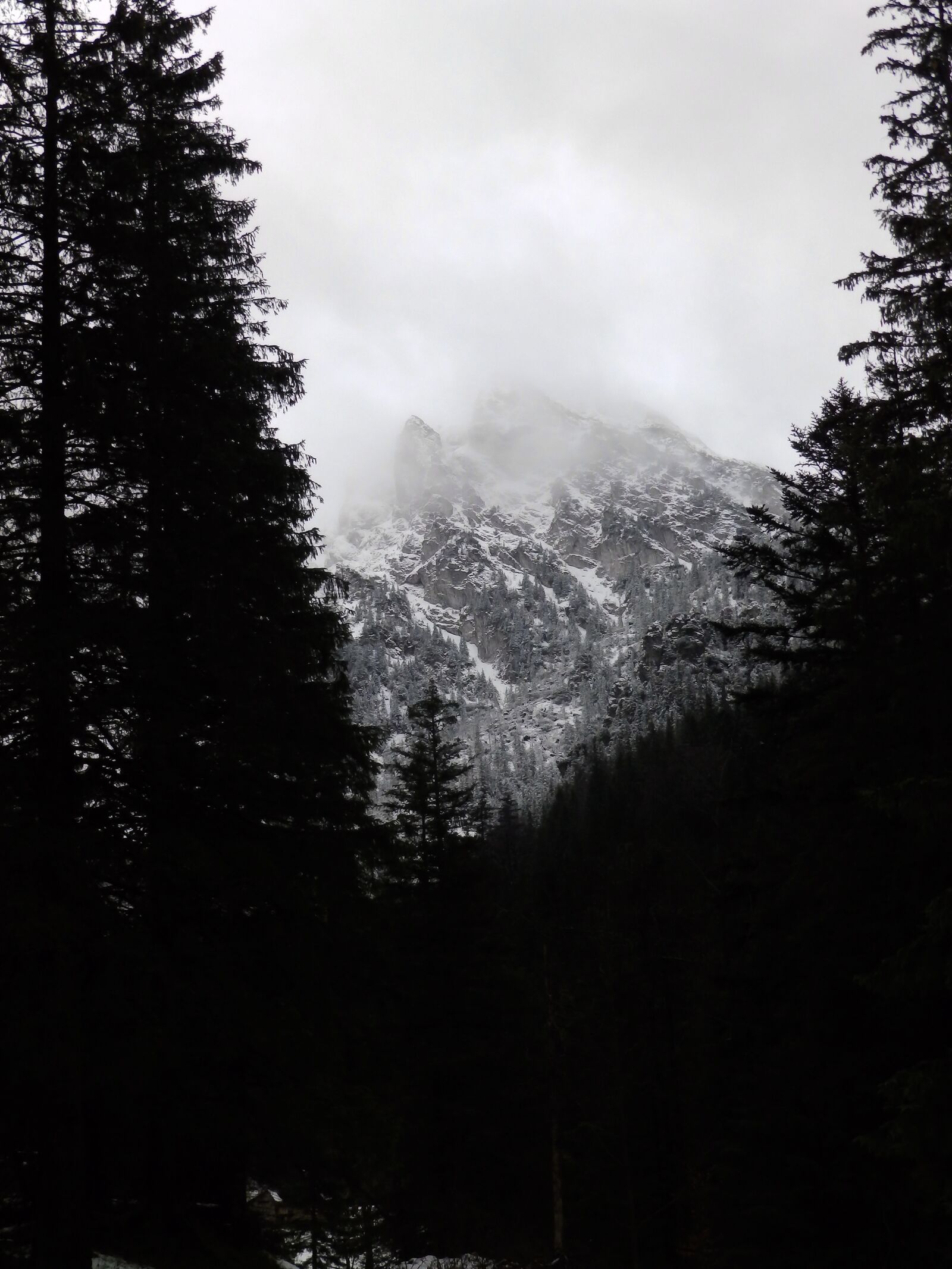 Olympus SP-820UZ sample photo. Mountains, winter, forest photography