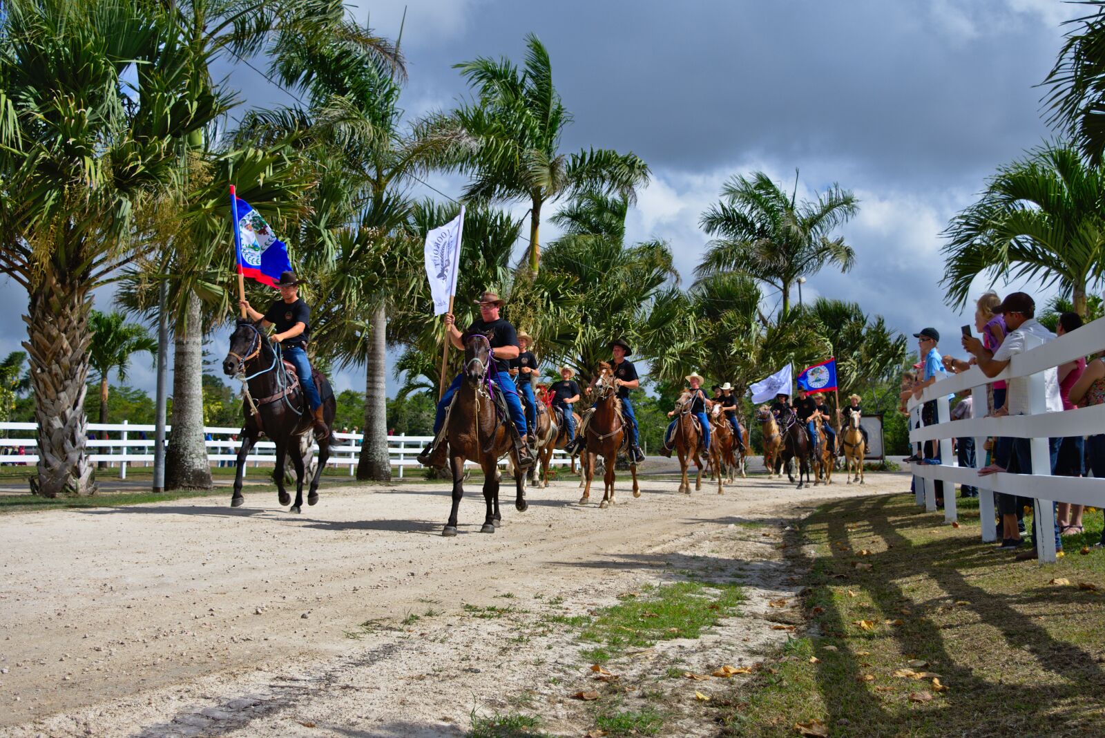 Nikon D7200 sample photo. Horses, people, parade photography