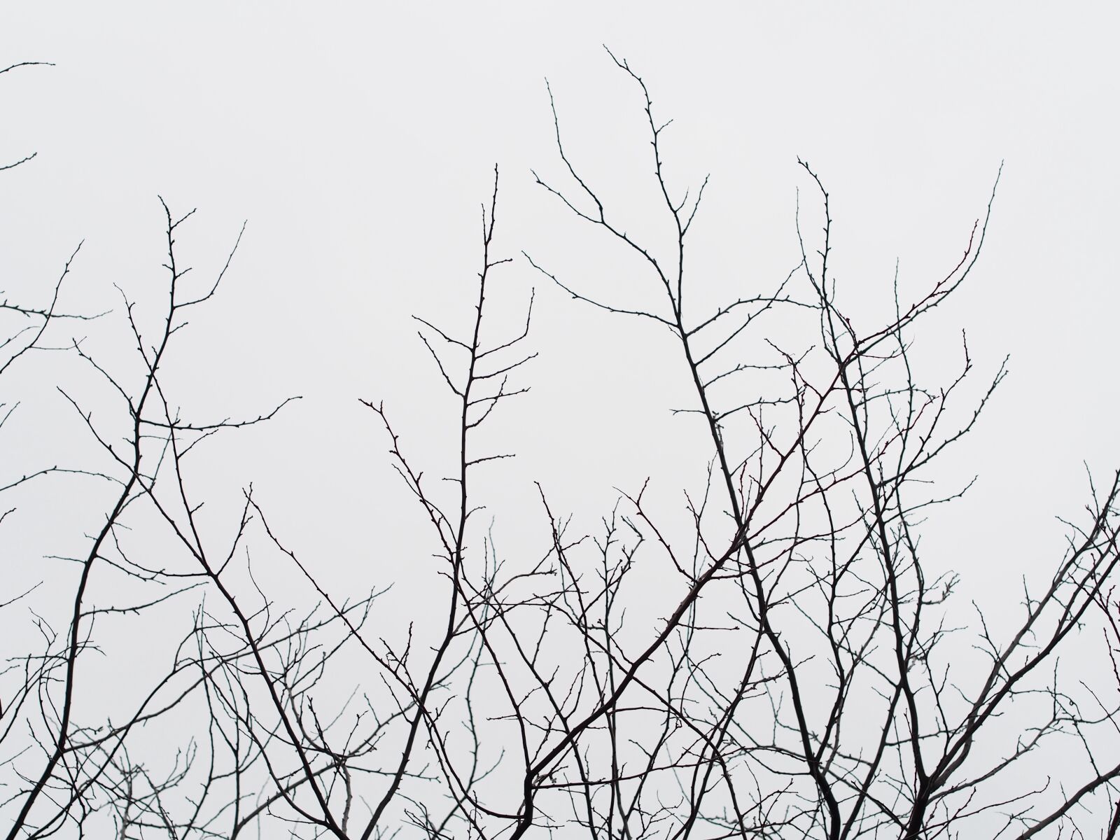 Olympus PEN E-PL5 sample photo. Grey, sky, theme, light photography