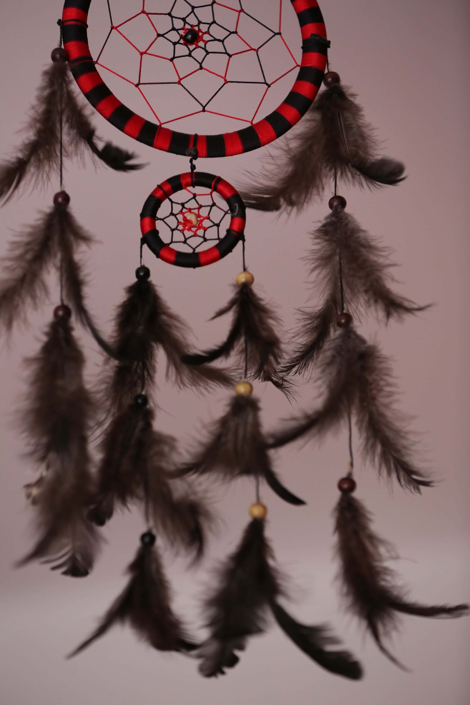 Canon EOS 5D Mark III sample photo. Dream catcher, feather, hanging photography