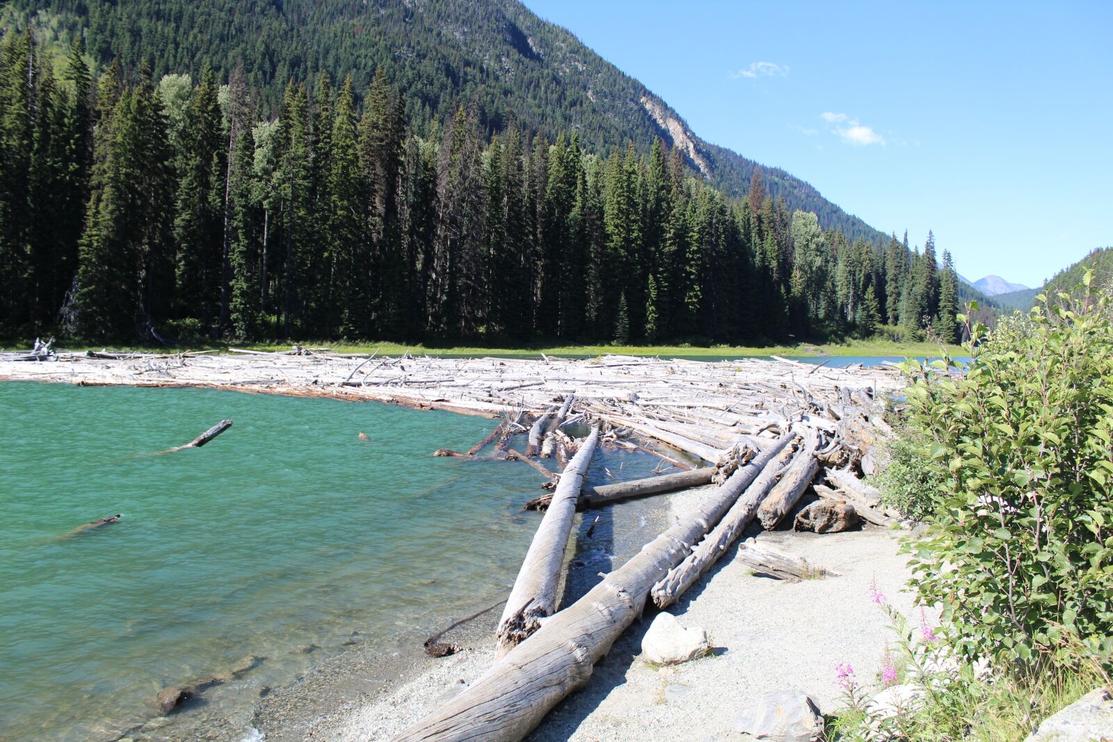 Canon EOS 1200D (EOS Rebel T5 / EOS Kiss X70 / EOS Hi) sample photo. Canada, bc, lake photography