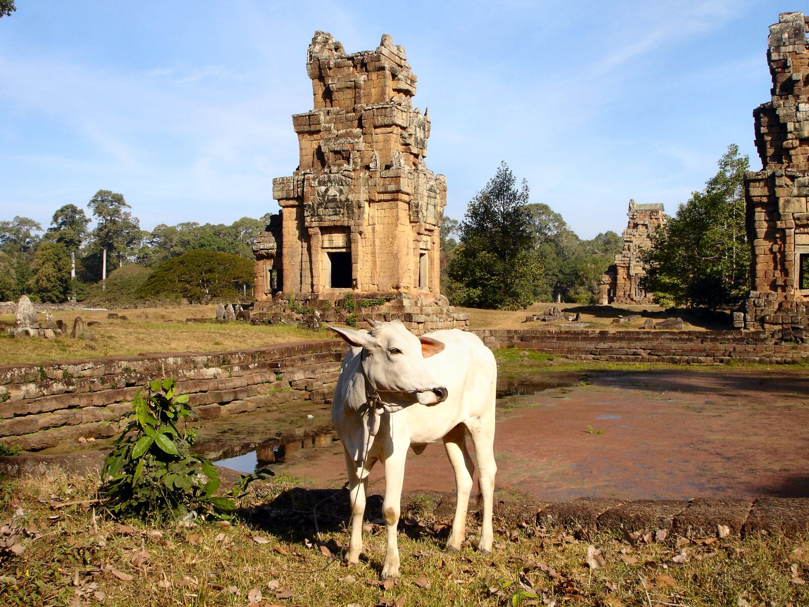 Sony DSC-P200 sample photo. Angkor, angkor wat, cambodia photography