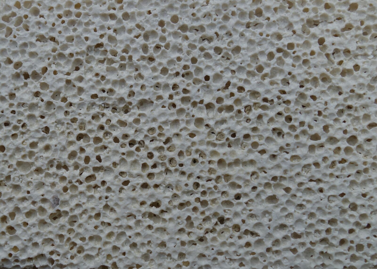 Sony Cyber-shot DSC-RX100 II sample photo. Pumice stone, rauh, holes photography