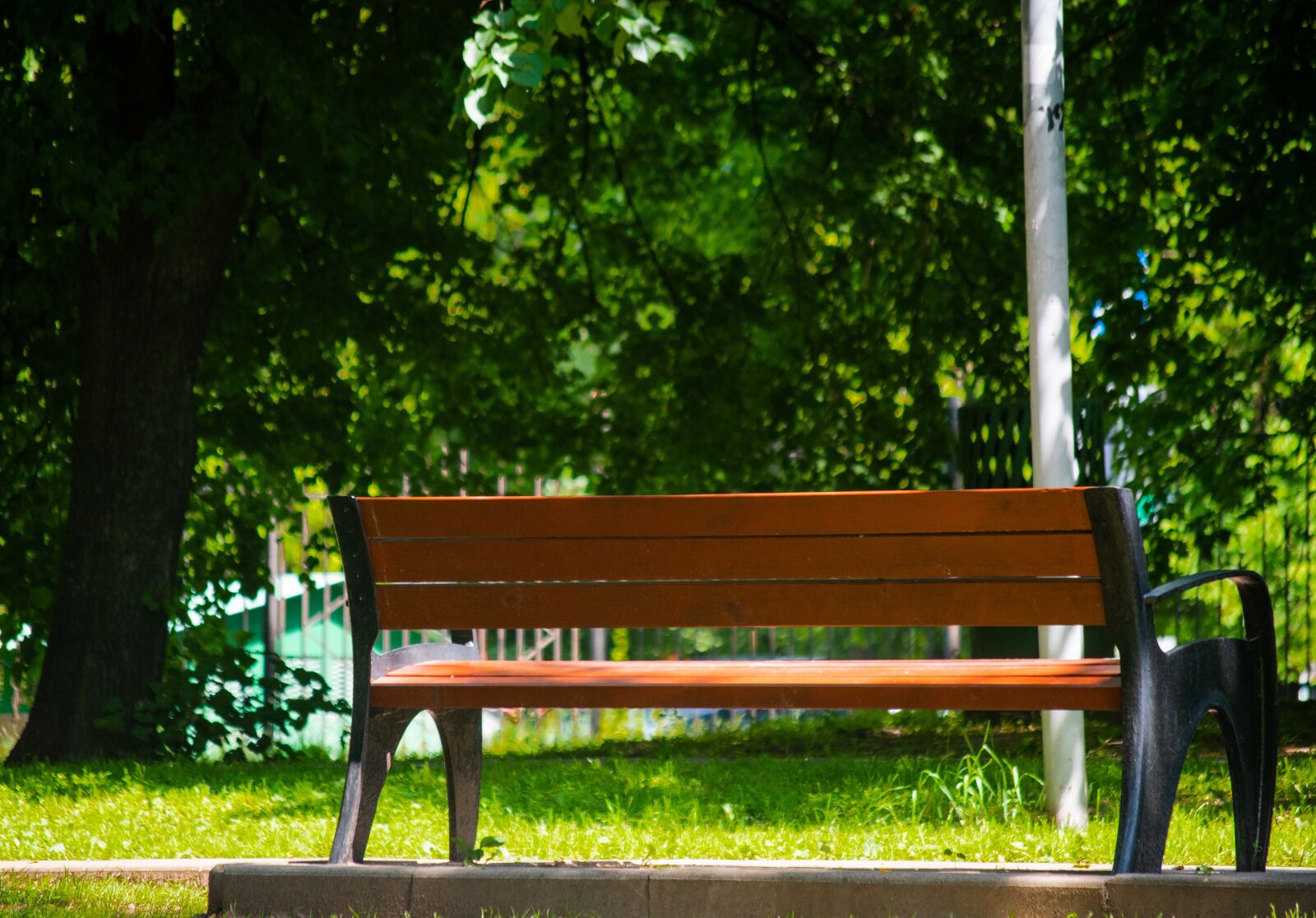 Nikon D5500 sample photo. Park, bench, summer photography