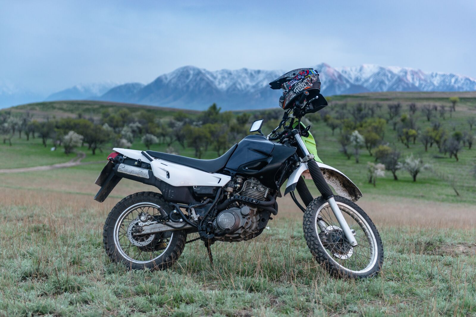 Nikon D610 sample photo. Motorcycle, enduro, motocross photography