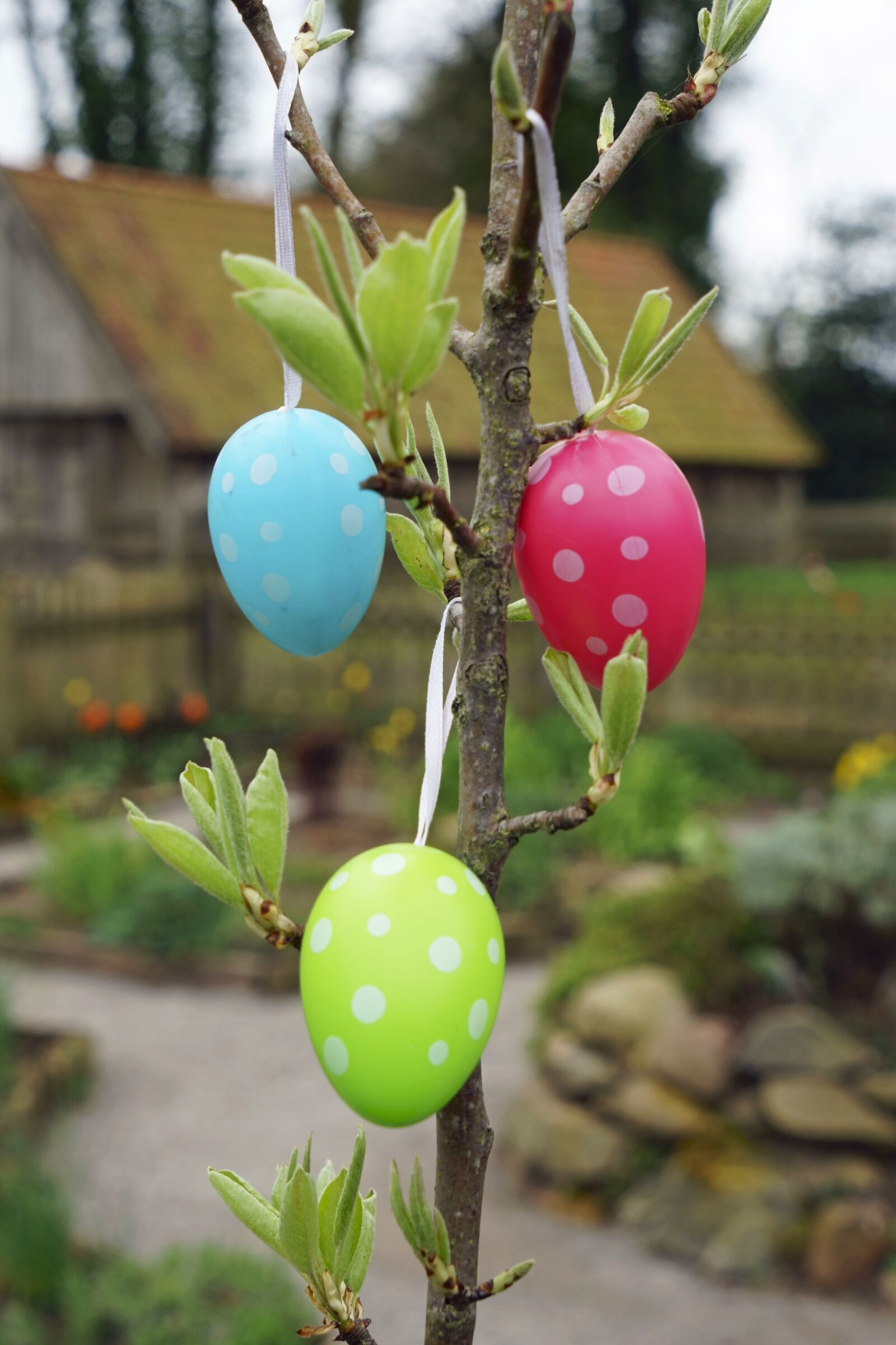 Sony a7 sample photo. Easter, easter eggs, spring photography