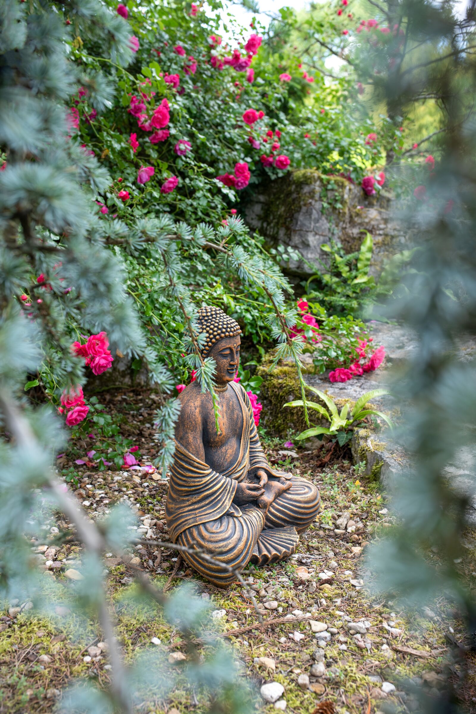 Nikon D750 sample photo. Meditation, zen, garden photography