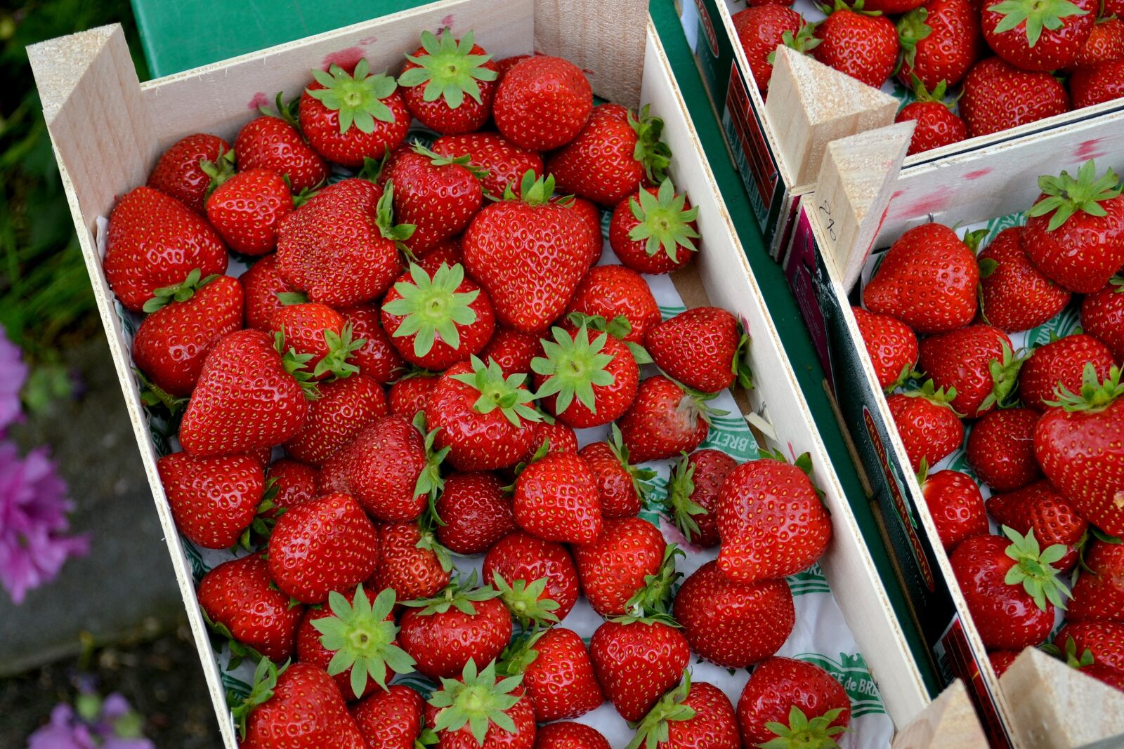 Nikon D3100 sample photo. Strawberries, fruit, food photography