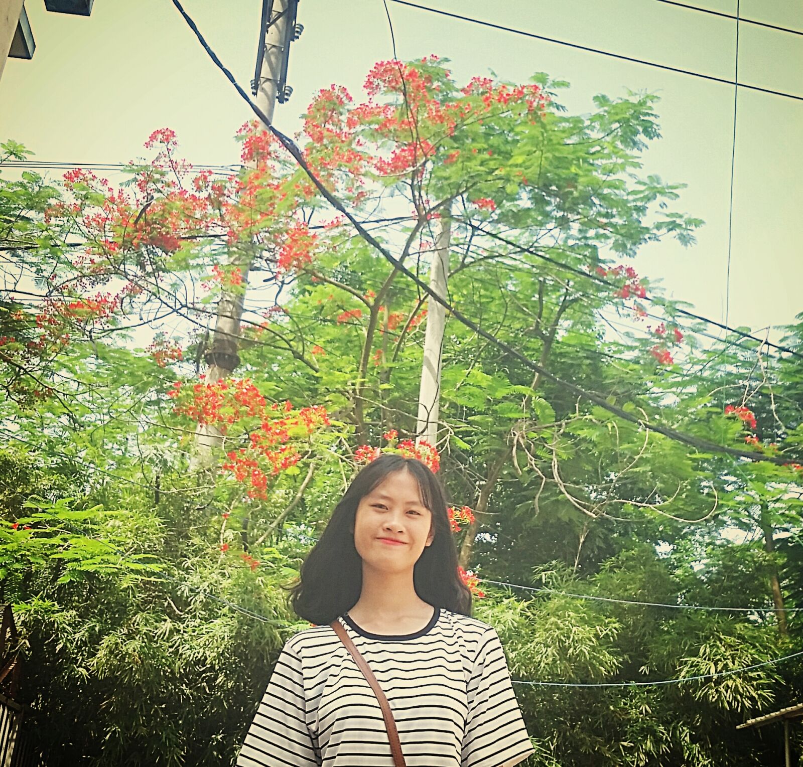 Samsung Galaxy S5 sample photo