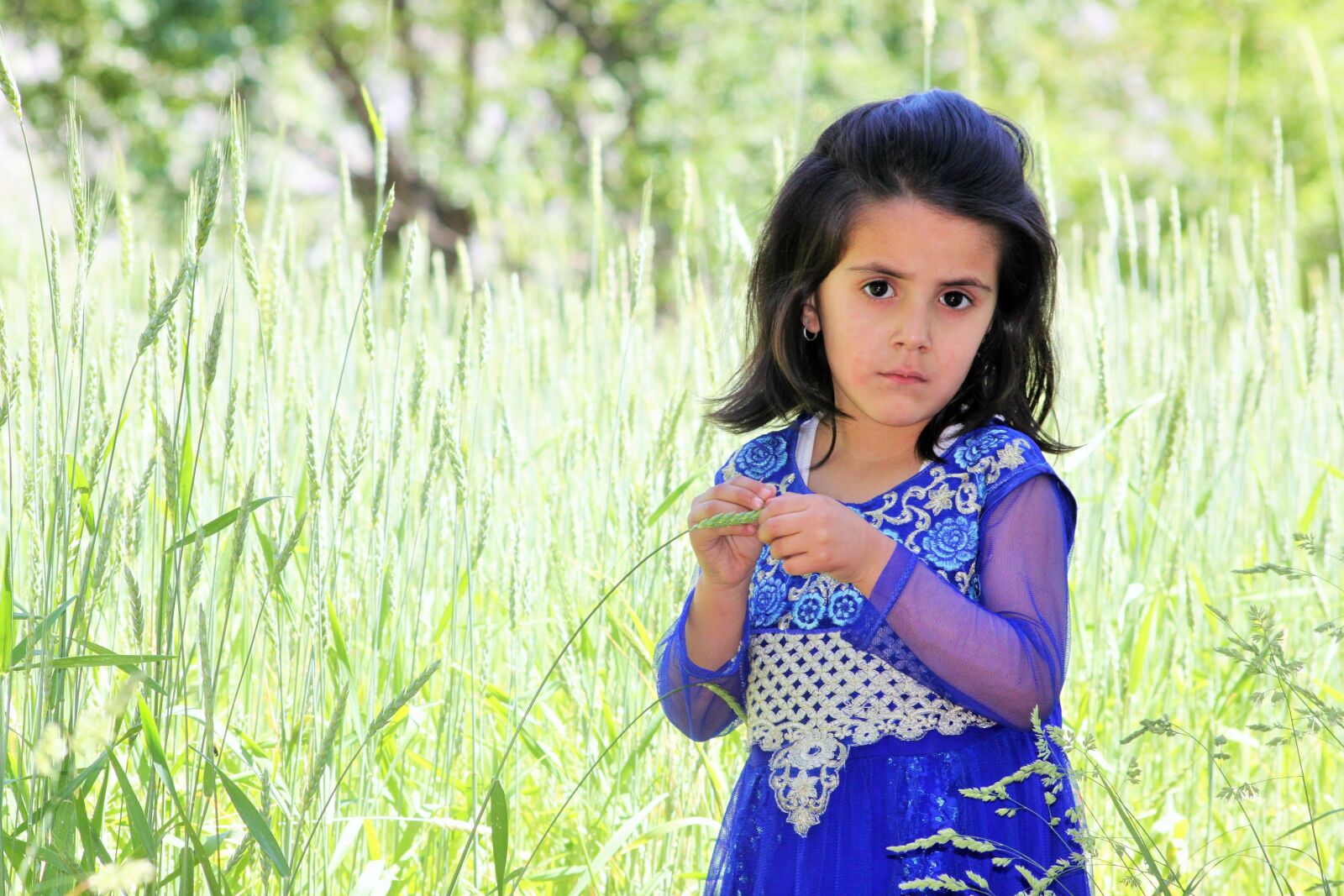 Canon EOS 500D (EOS Rebel T1i / EOS Kiss X3) sample photo. Kid, girl, cute photography