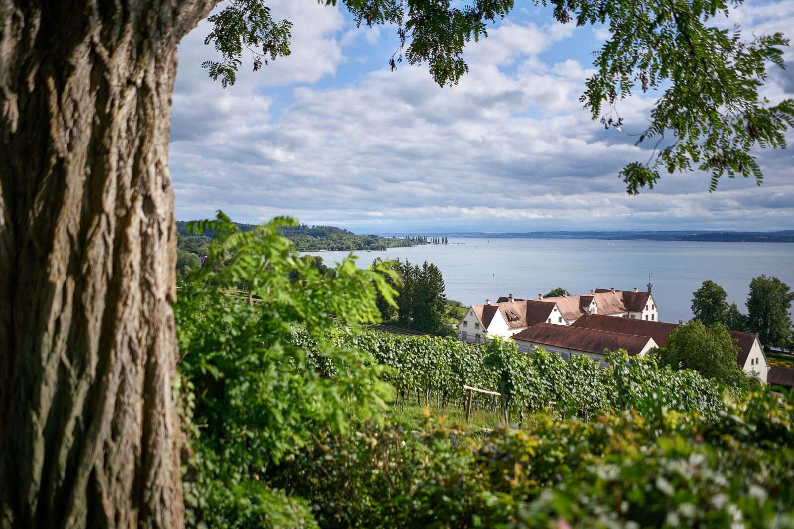 Sony FE 28mm F2 sample photo. Lake constance, bodensee, germany photography