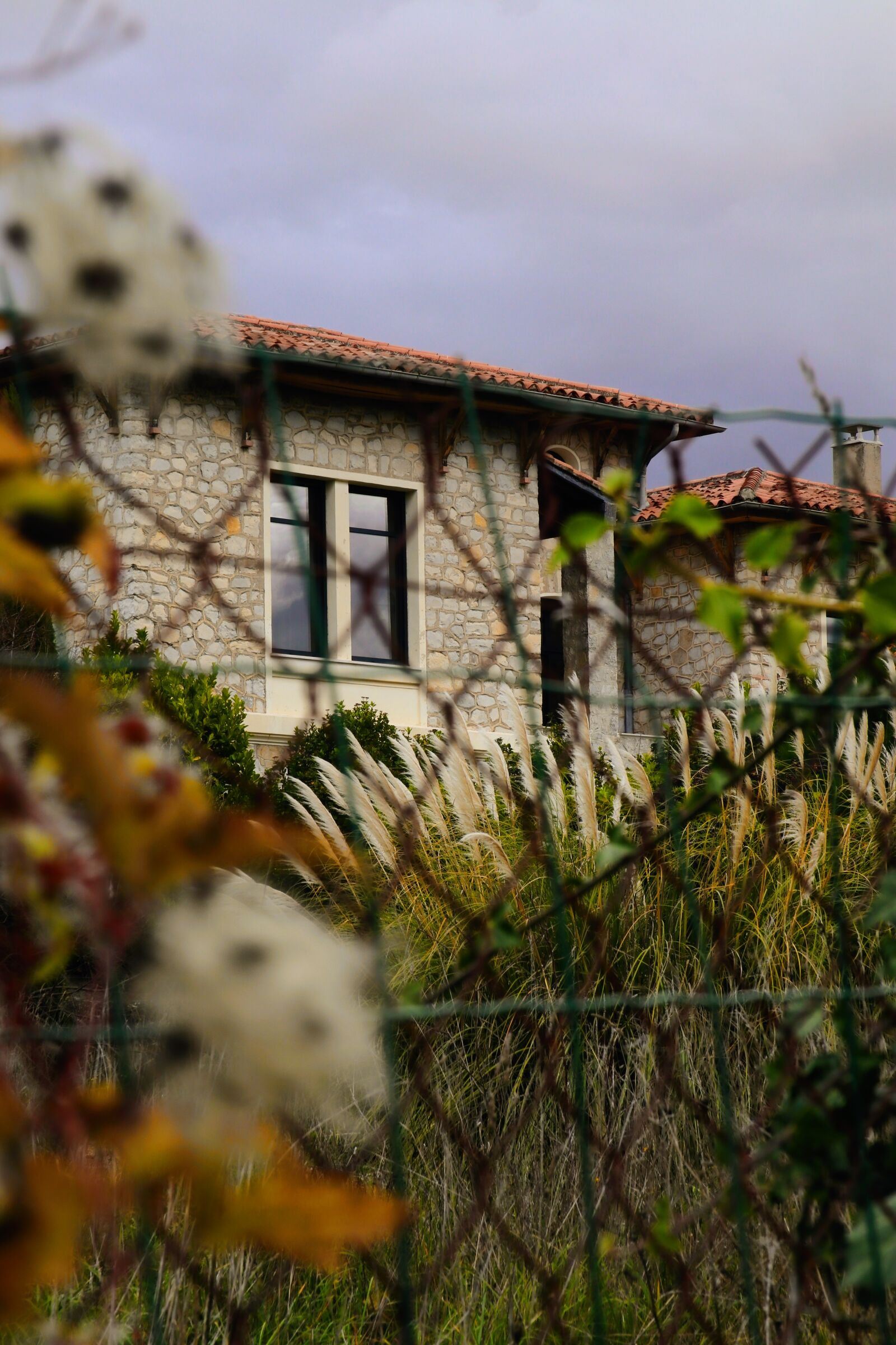 Canon EOS M5 sample photo