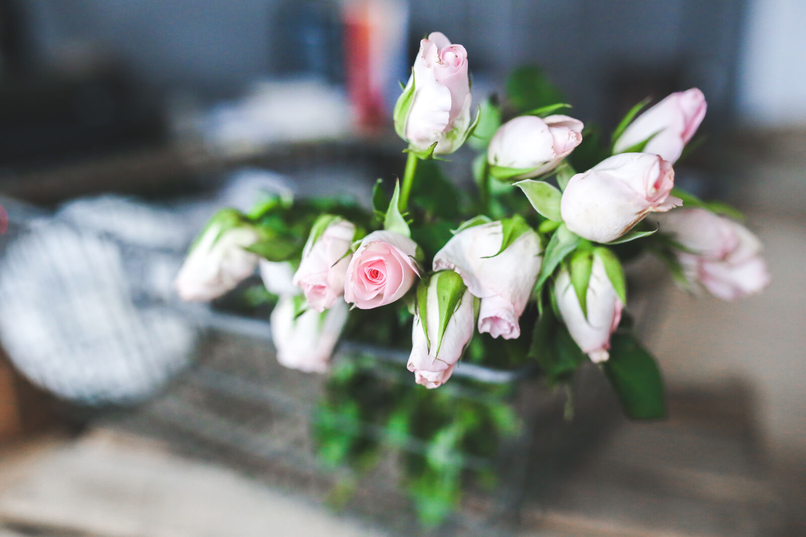 Canon EOS 6D + Sigma 35mm F1.4 DG HSM Art sample photo. Roses, in, basket photography