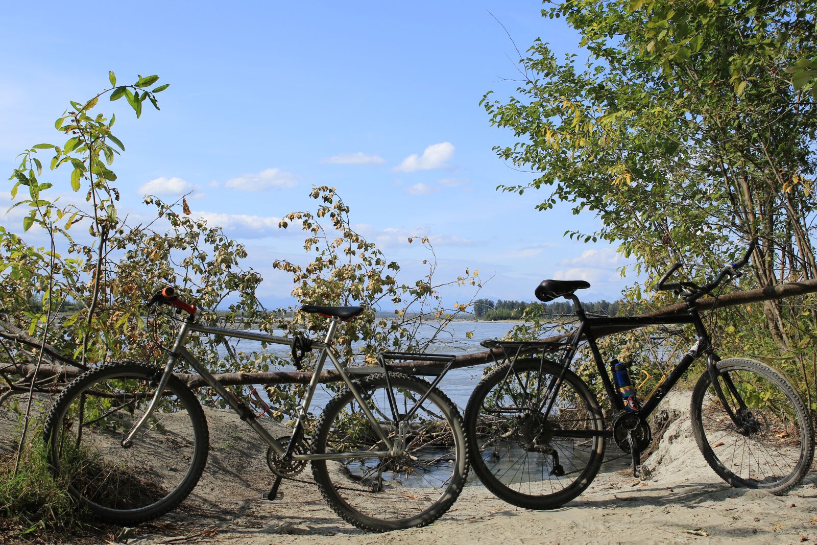 Canon EOS 7D Mark II sample photo. Bicycles, nature, exercise photography