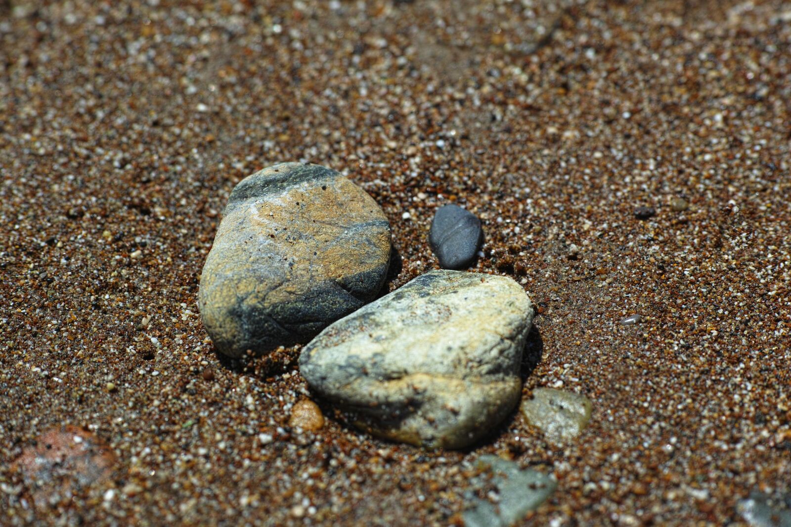 Sigma DP3 Merrill sample photo. Stone, sand, beach photography
