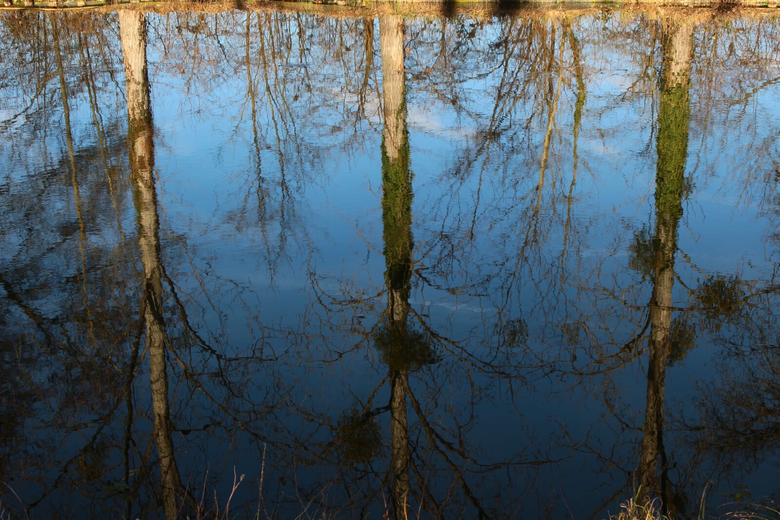 Canon EOS 100D (EOS Rebel SL1 / EOS Kiss X7) sample photo. Channel, reflection, nature photography