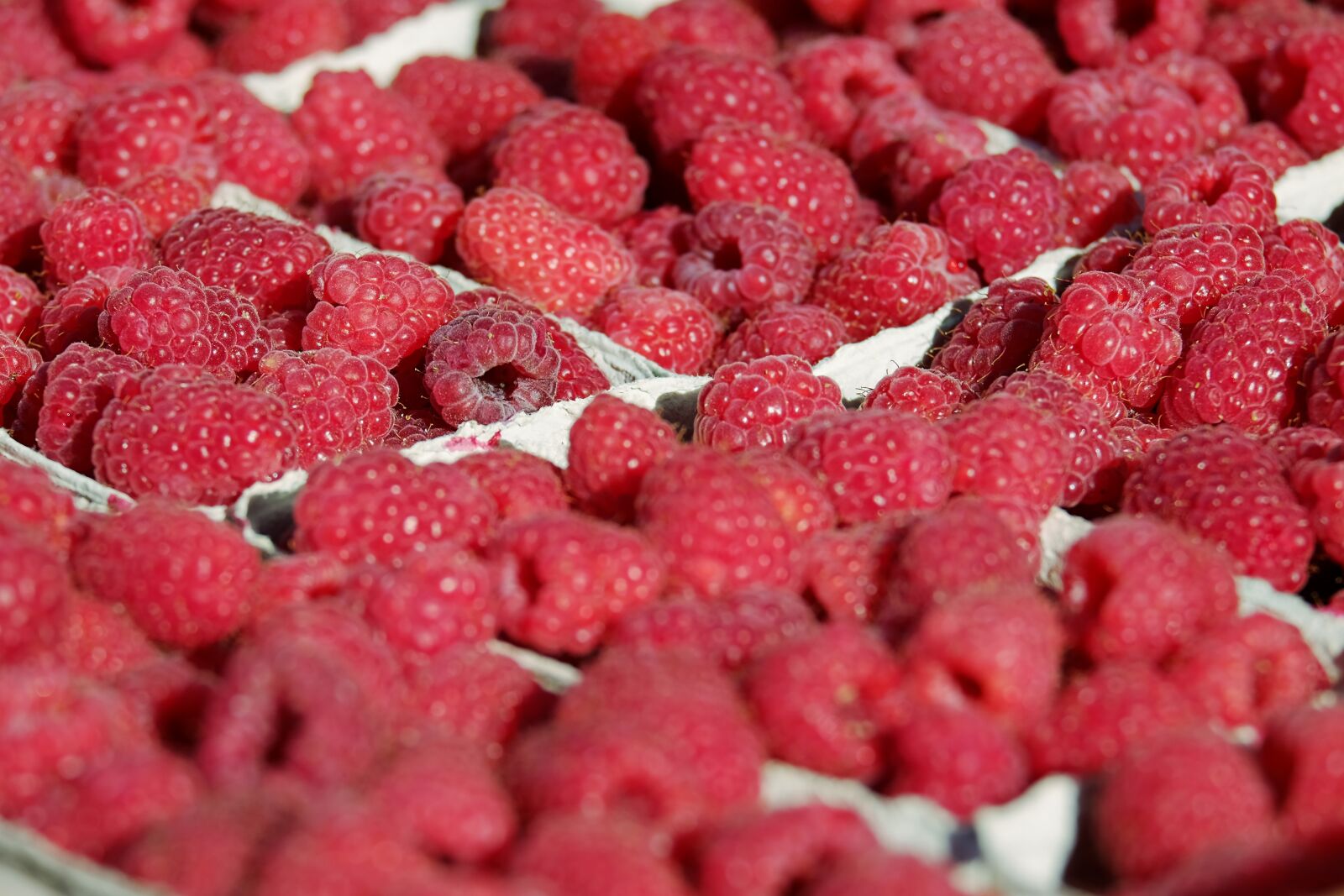 Fujifilm XF 55-200mm F3.5-4.8 R LM OIS sample photo. Raspberries, fruits, fruit photography