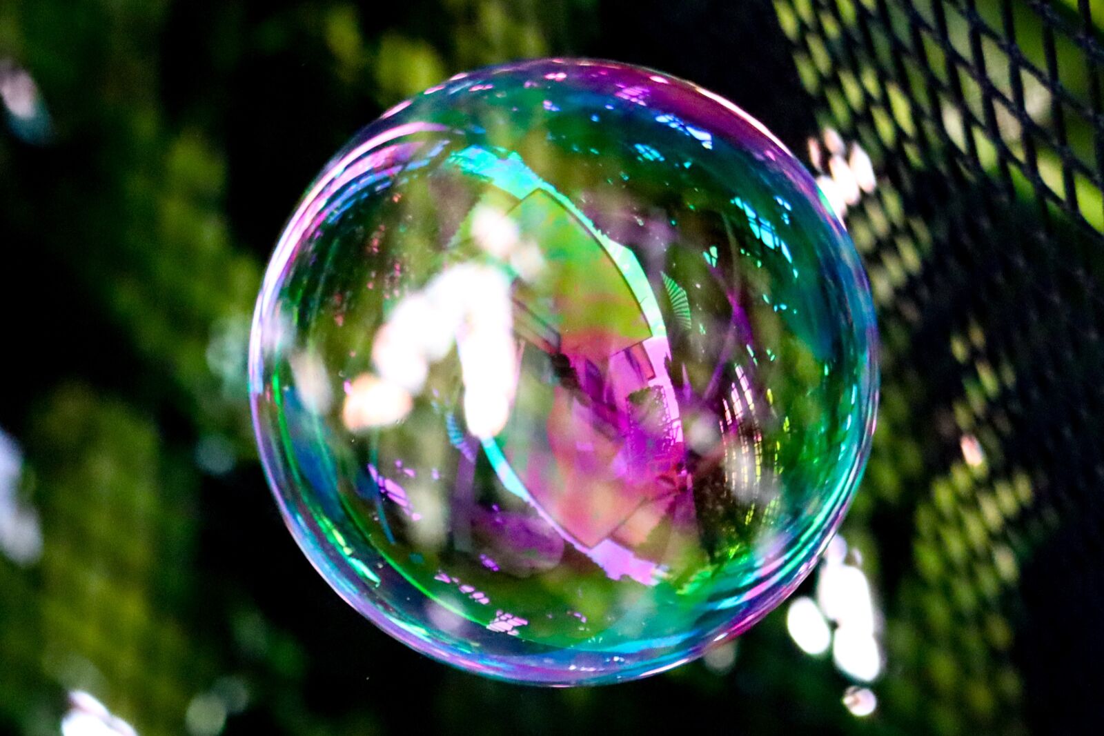 Canon EOS 90D sample photo. Bubble, soap bubble, reflection photography