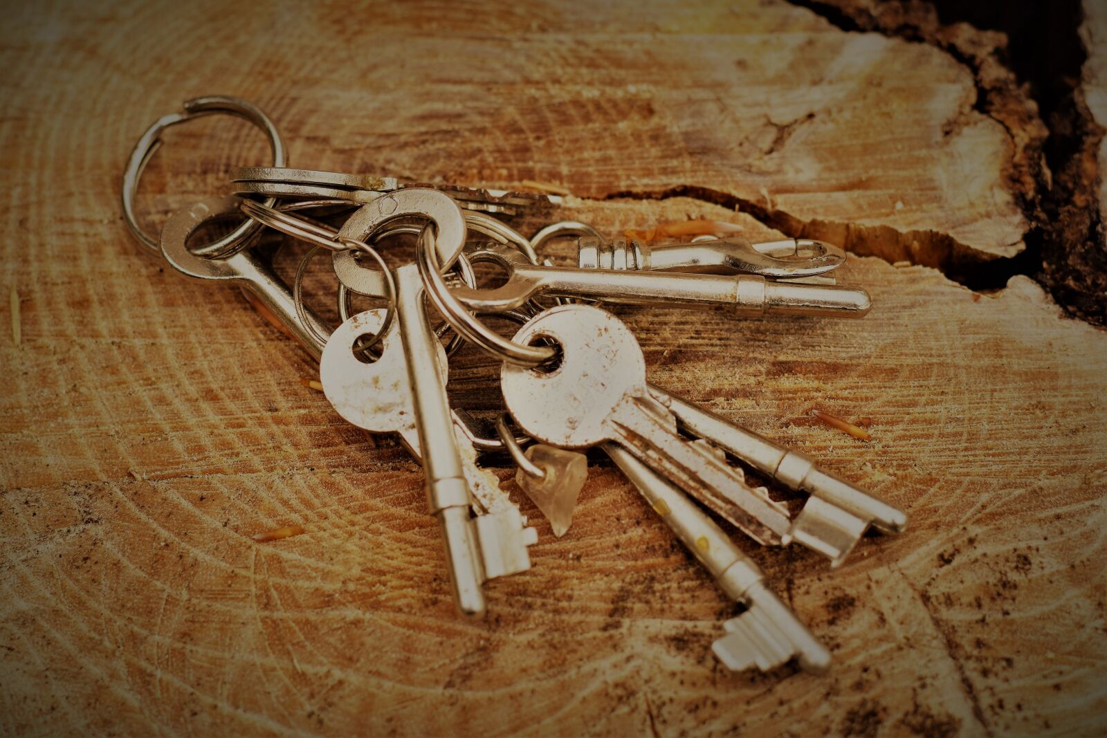 Nikon D5300 sample photo. Keys, lockdown, open photography