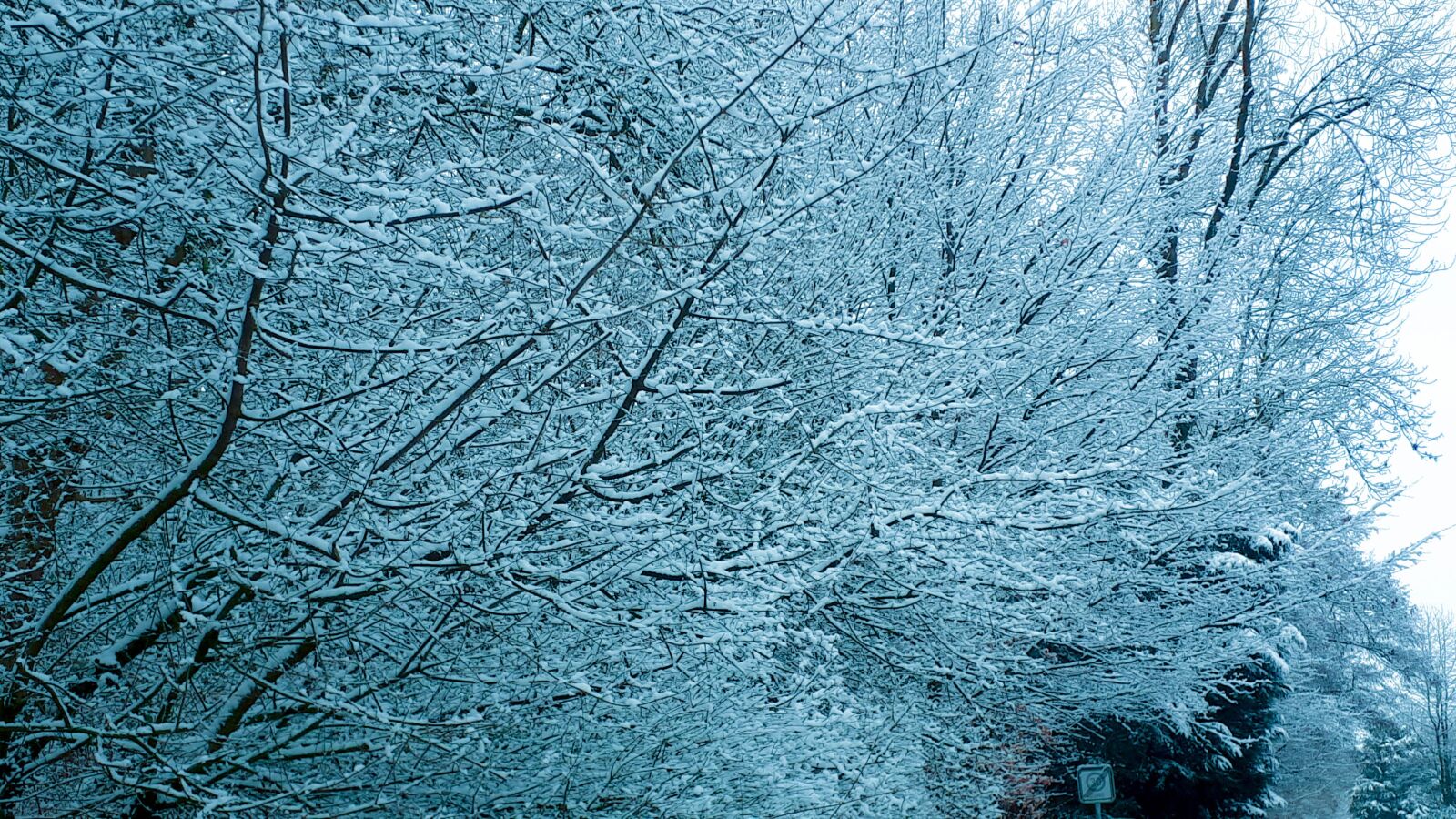 Samsung Galaxy A5(2017) sample photo. Aesthetic, snow, winter photography
