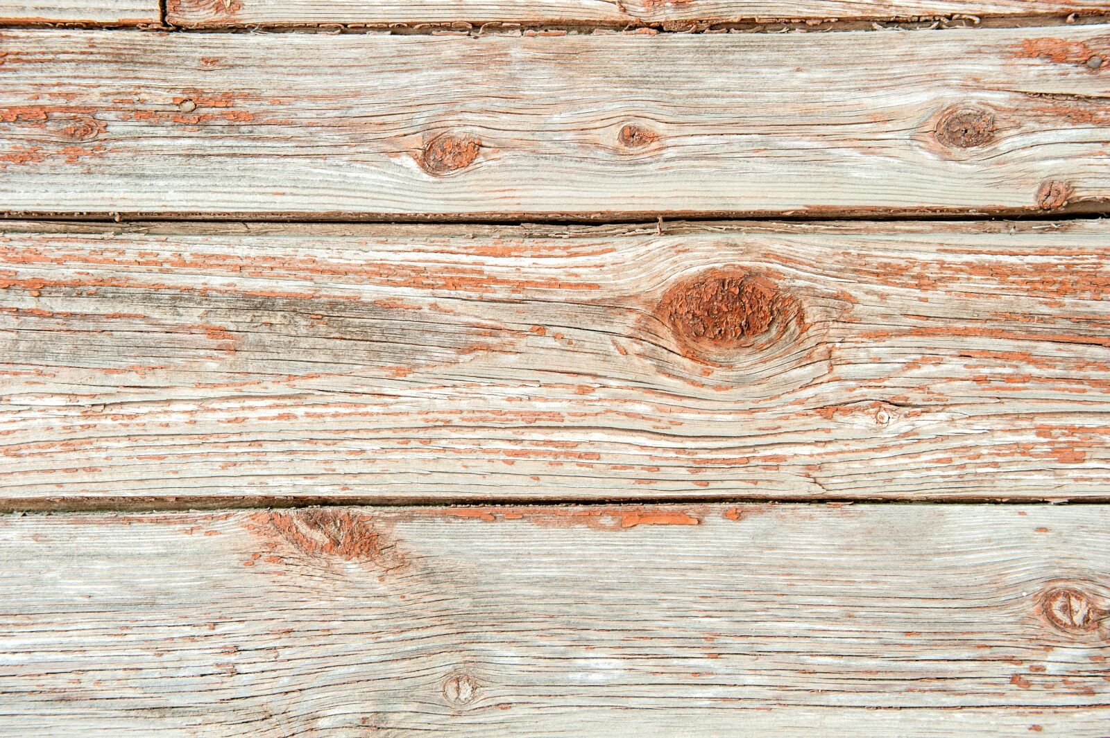 Nikon D700 sample photo. Old tree, orange, boards photography