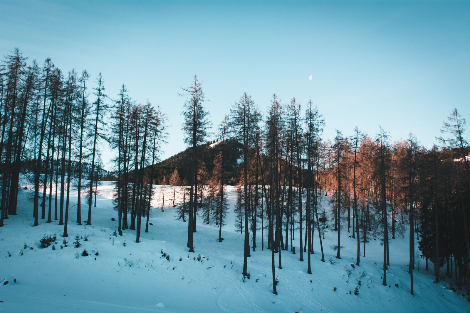 Nikon D7100 sample photo. Landscape, winter, snow photography
